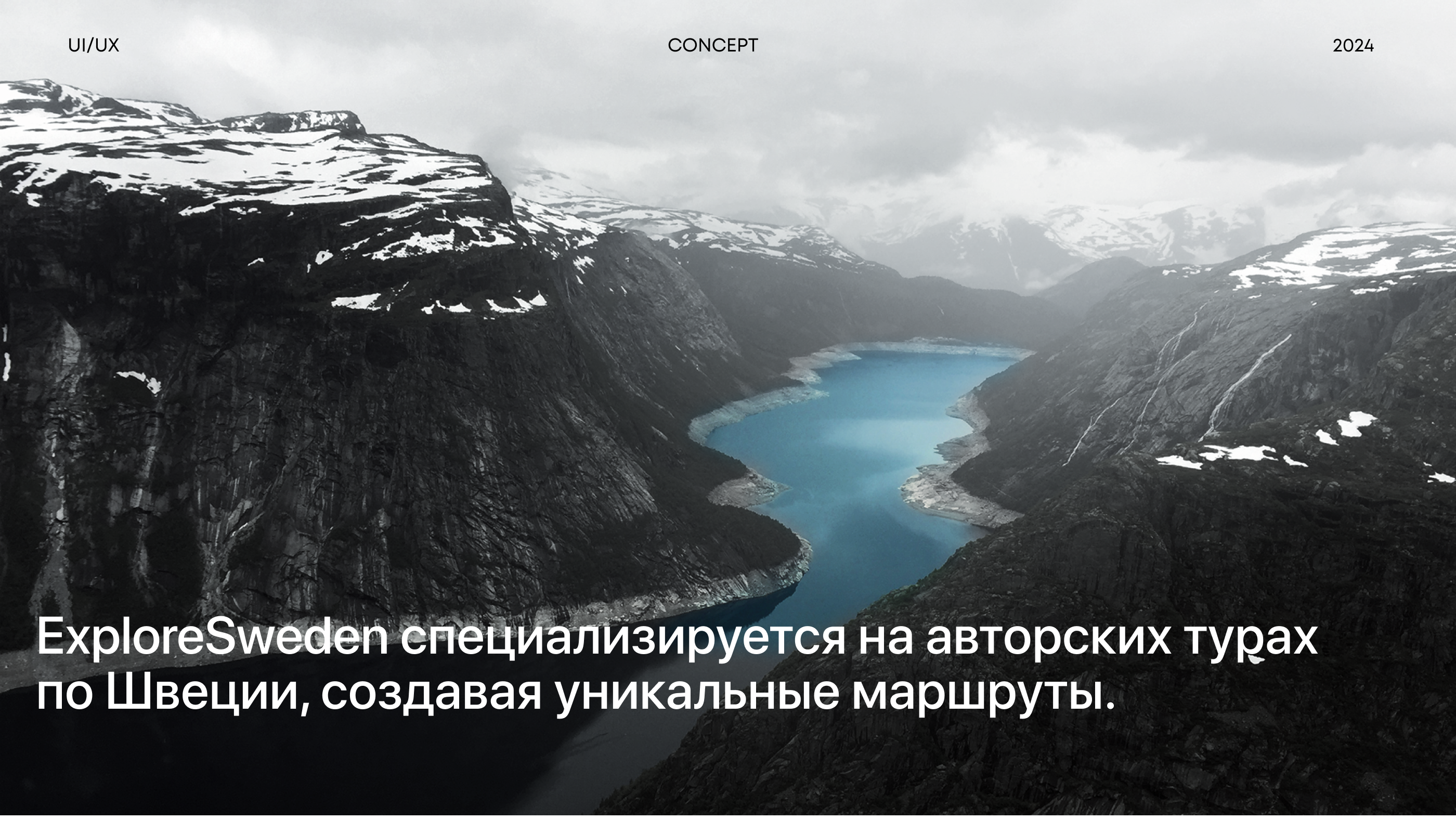 EXPLORESWEDEN - Landing Page Design Concept — Изображение №1 — Интерфейсы на Dprofile
