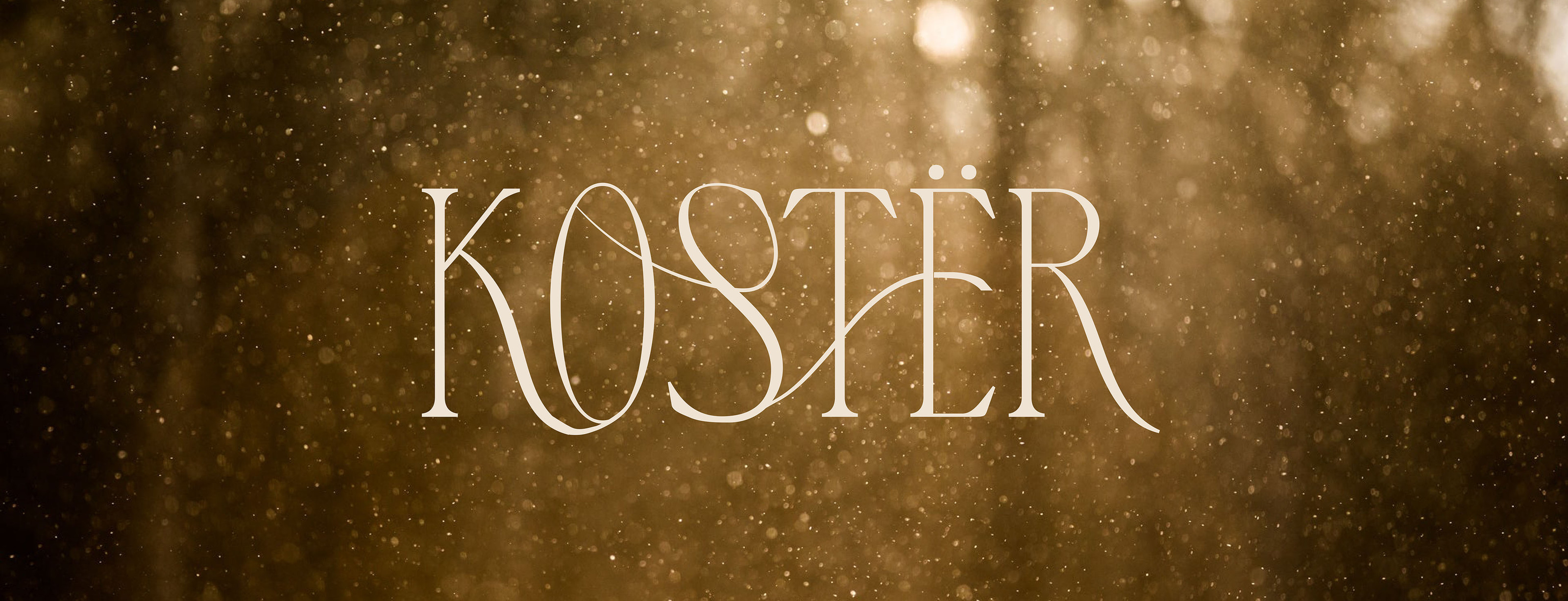 KOSTЁR — Изображение №1 — Брендинг на Dprofile
