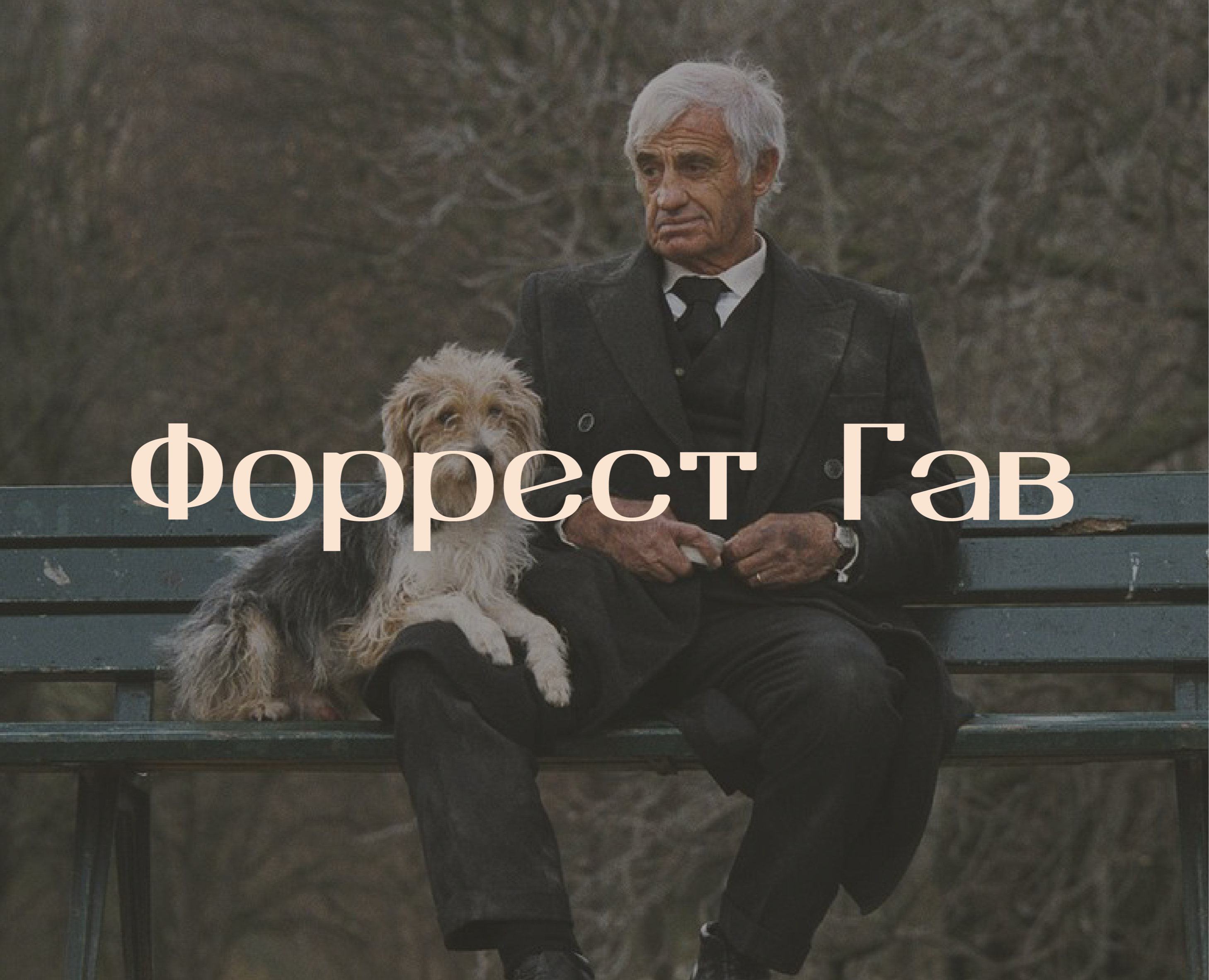 Товары для собак. Форрест Гав — Брендинг, Графика на Dprofile