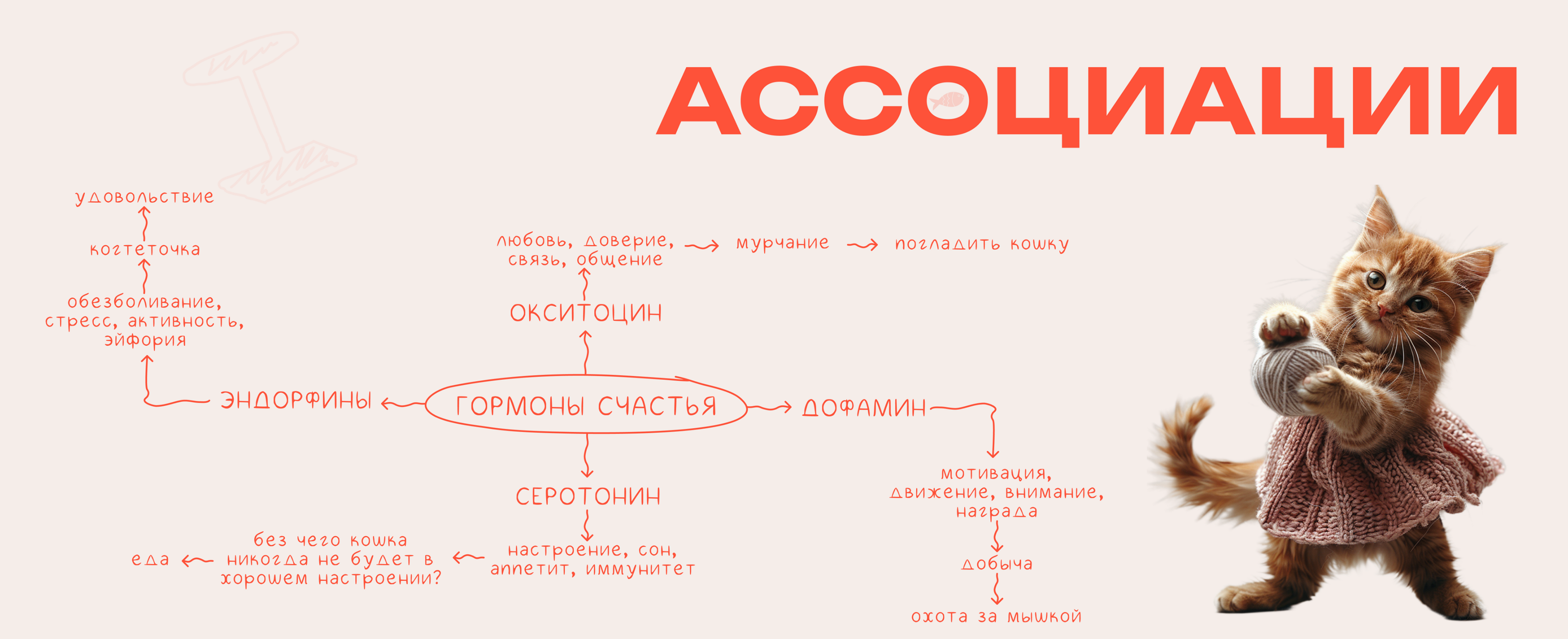 Гормоны счастья / Лонгрид — Изображение №4 — Интерфейсы, Иллюстрация на Dprofile