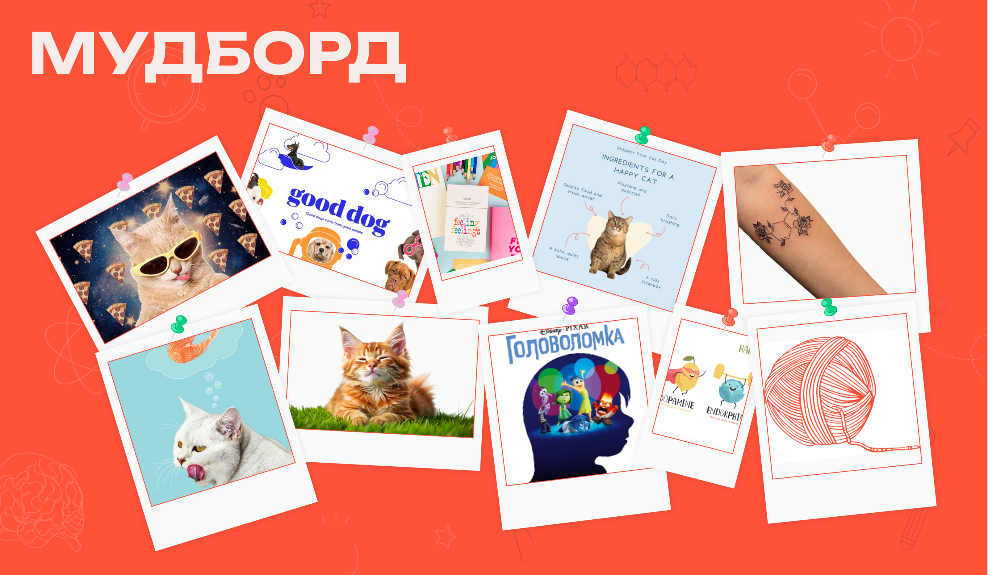 Гормоны счастья / Лонгрид — Изображение №6 — Интерфейсы, Иллюстрация на Dprofile