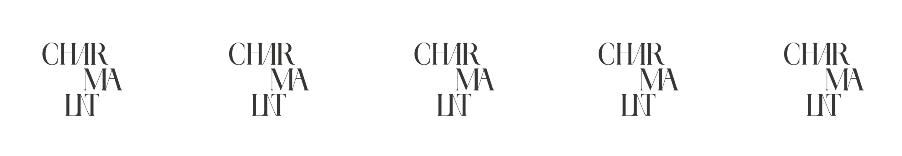 Брендинг женского бренда одежды Charmalat — Изображение №5 — Брендинг, Графика на Dprofile