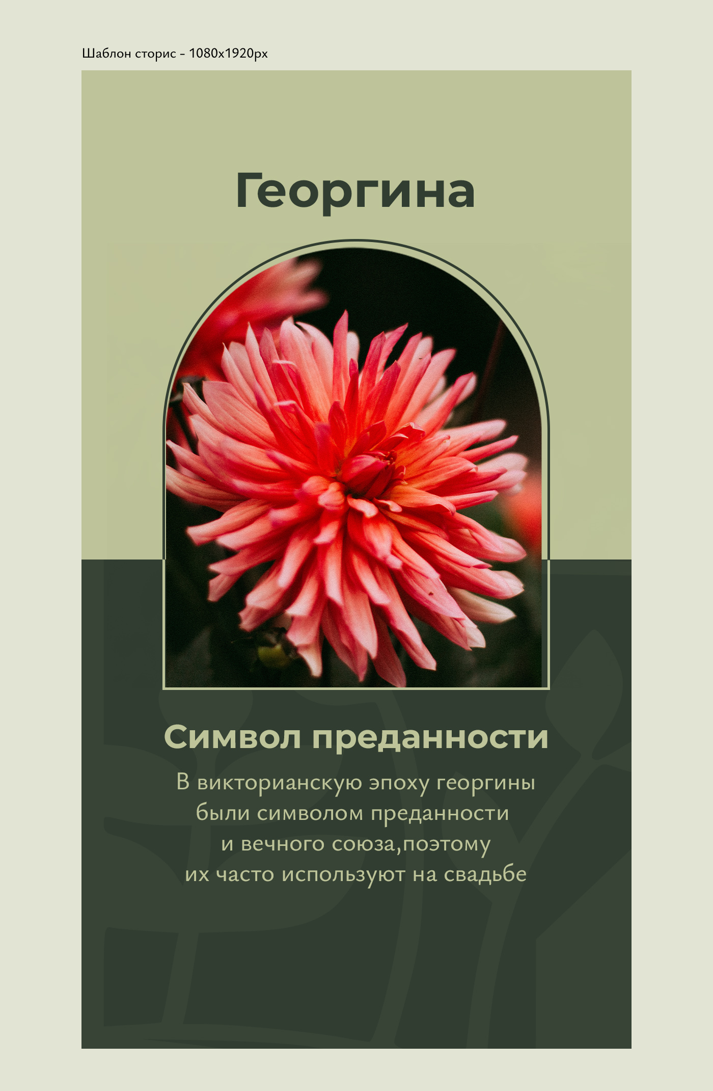 El Flower Farm — рекламные баннеры — Изображение №8 — Брендинг, Маркетинг на Dprofile