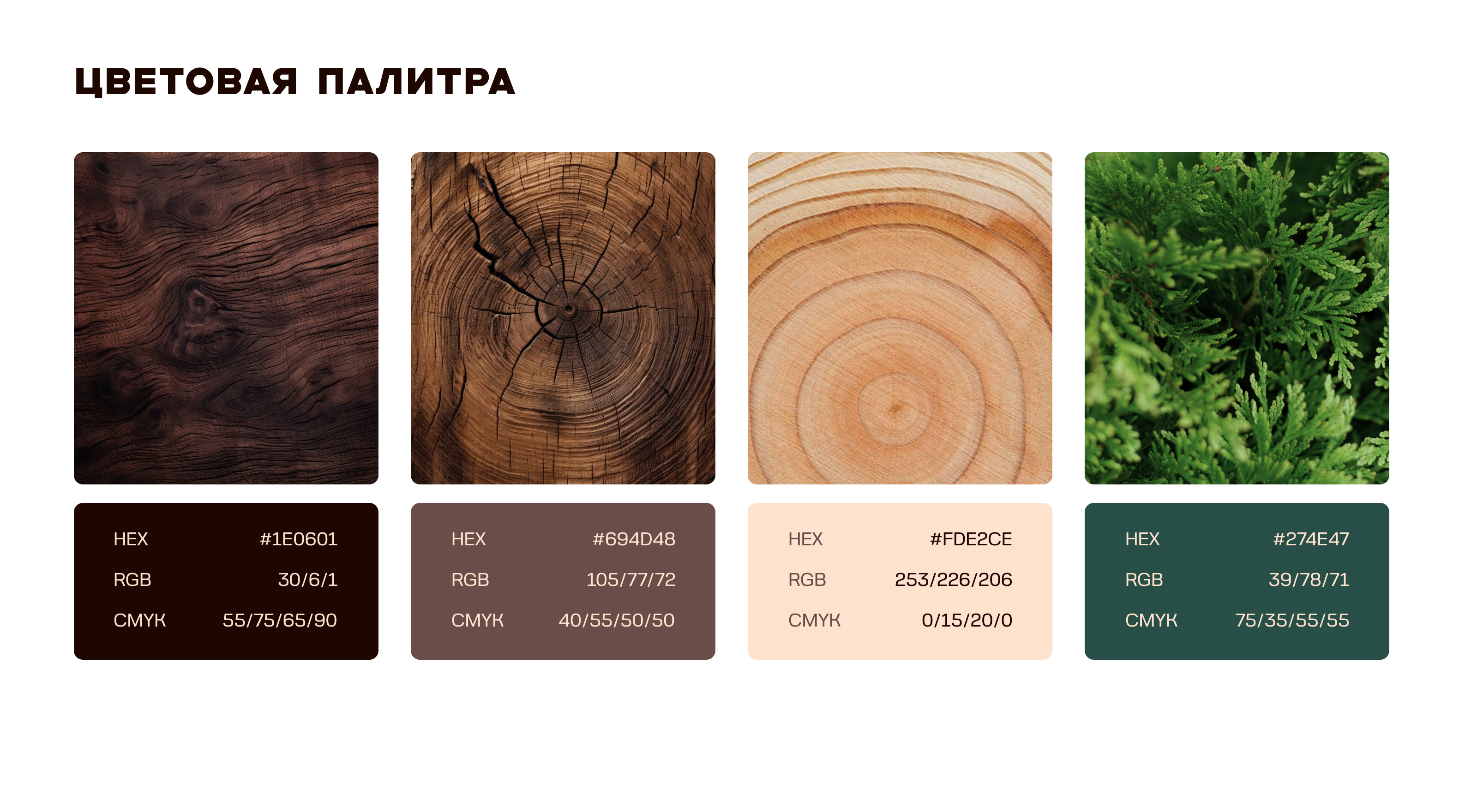 Фирменный стиль Sequoia Studio — Изображение №16 — Брендинг на Dprofile