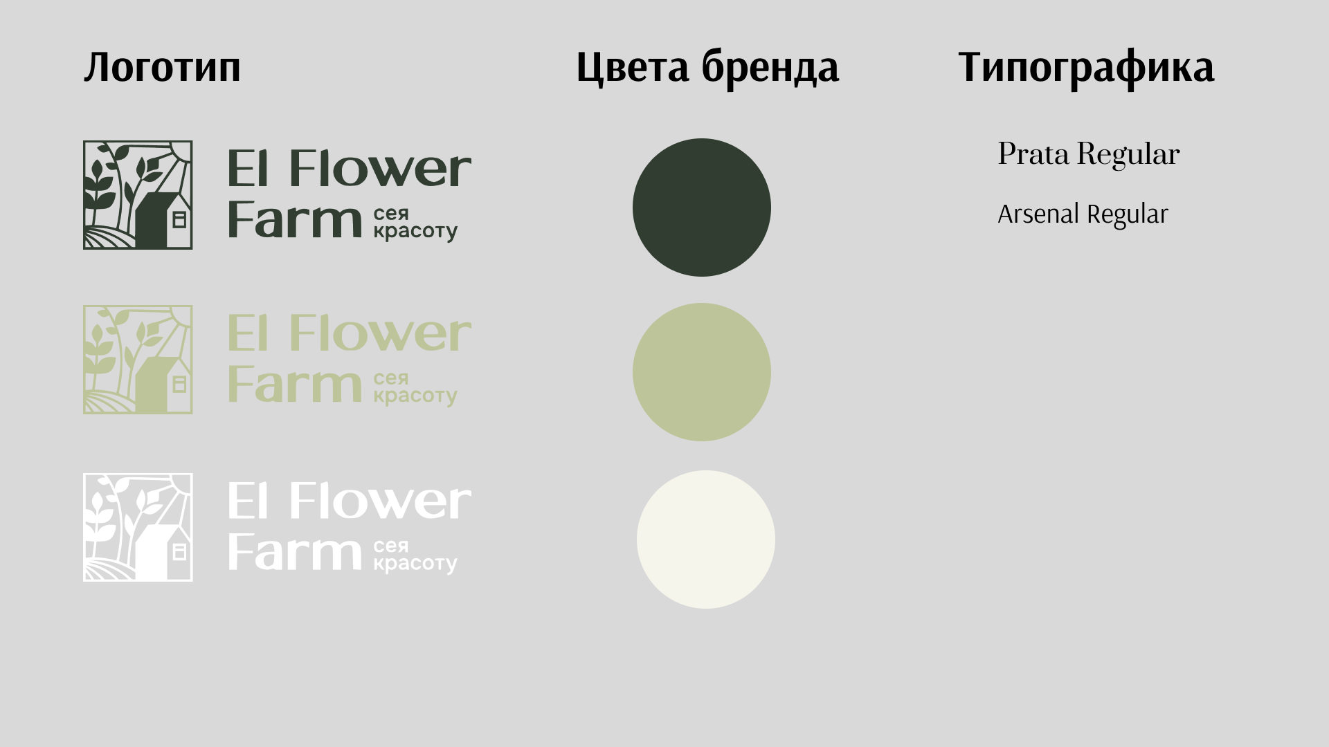 Баннеры и дизайн для цветочной фермы El Flower Farm — Изображение №3 — Маркетинг на Dprofile