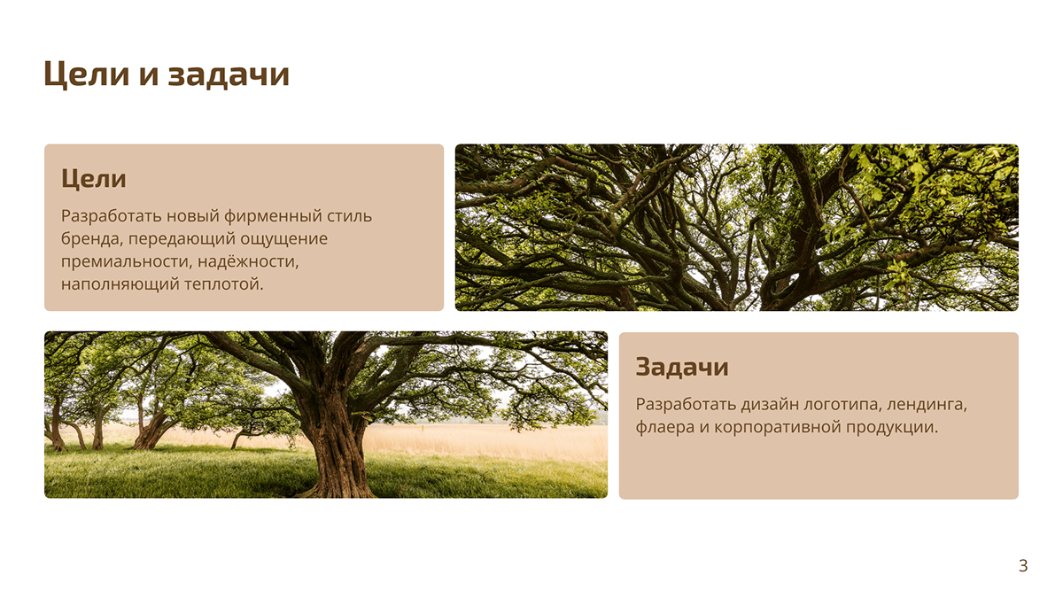 SEQUOIA STUDIO | Brand Identity | LOGO DESIGN |БРЕНДИНГ — Изображение №2 — Брендинг на Dprofile