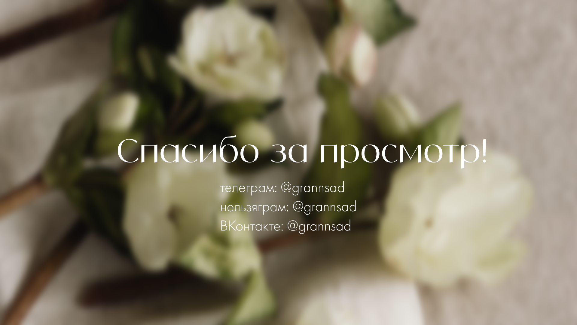 Статичные баннеры и оформление социальных сетей — Изображение №4 — Брендинг, Графика на Dprofile
