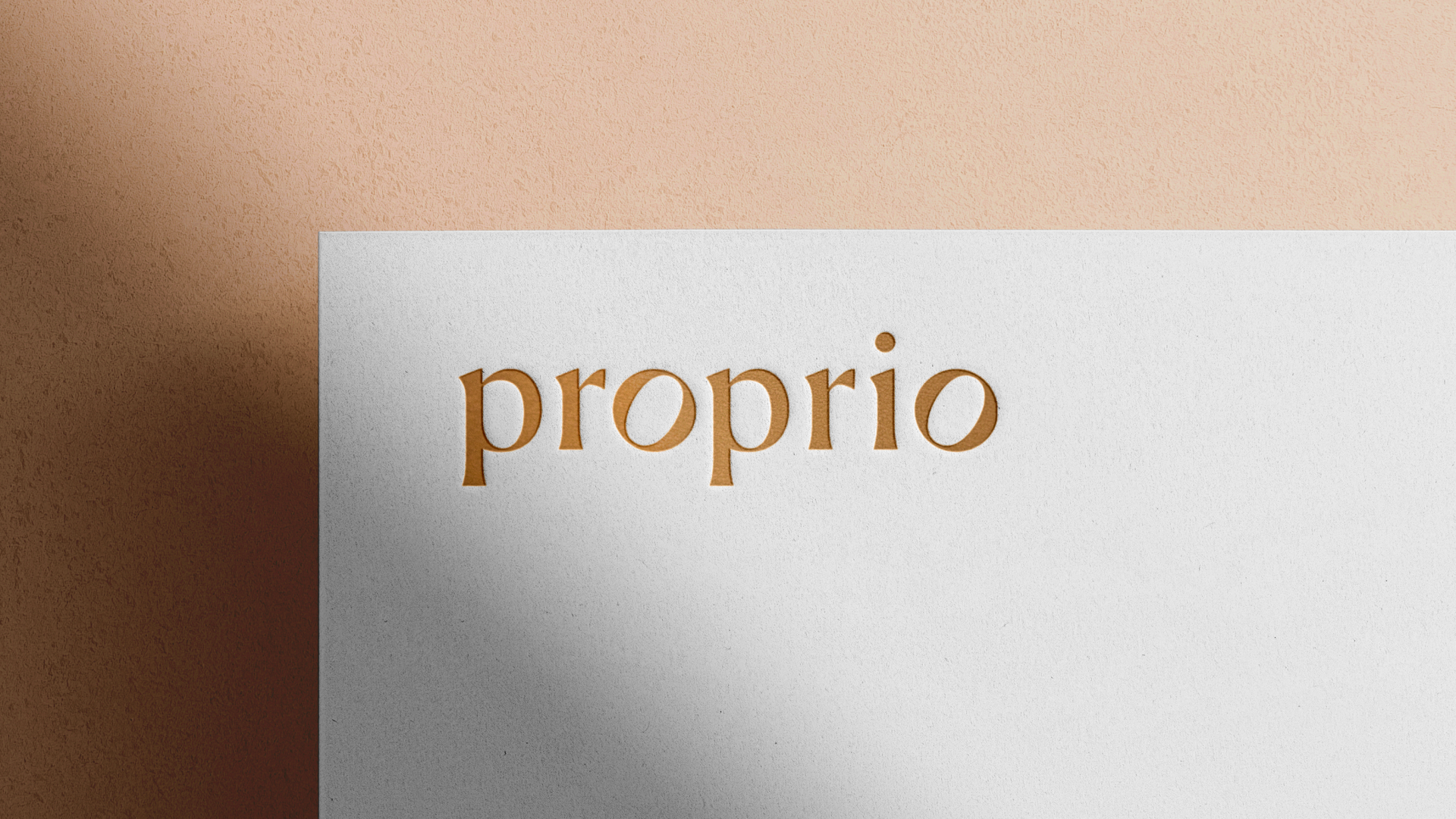Proprio Store: айдентика магазина женской одежды — Изображение №4 — Брендинг на Dprofile