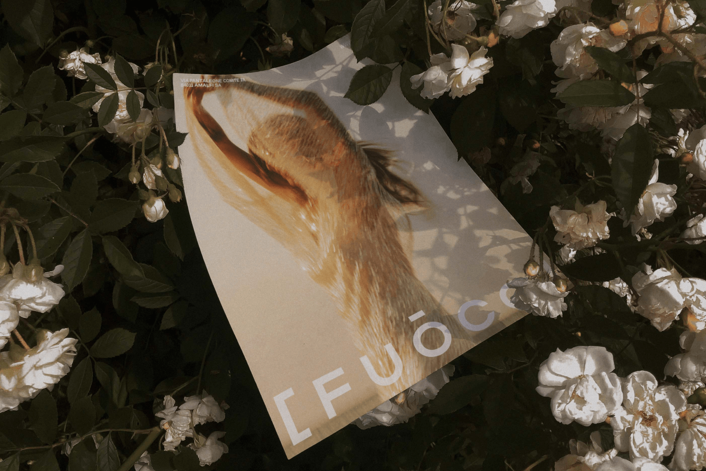 [ F U O C O ] Айдентика для бутик-отеля — Изображение №18 — Брендинг, Графика на Dprofile