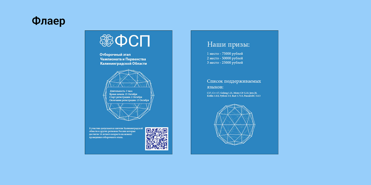 Федерация Спортивного Программирования — Изображение №17 — Брендинг на Dprofile