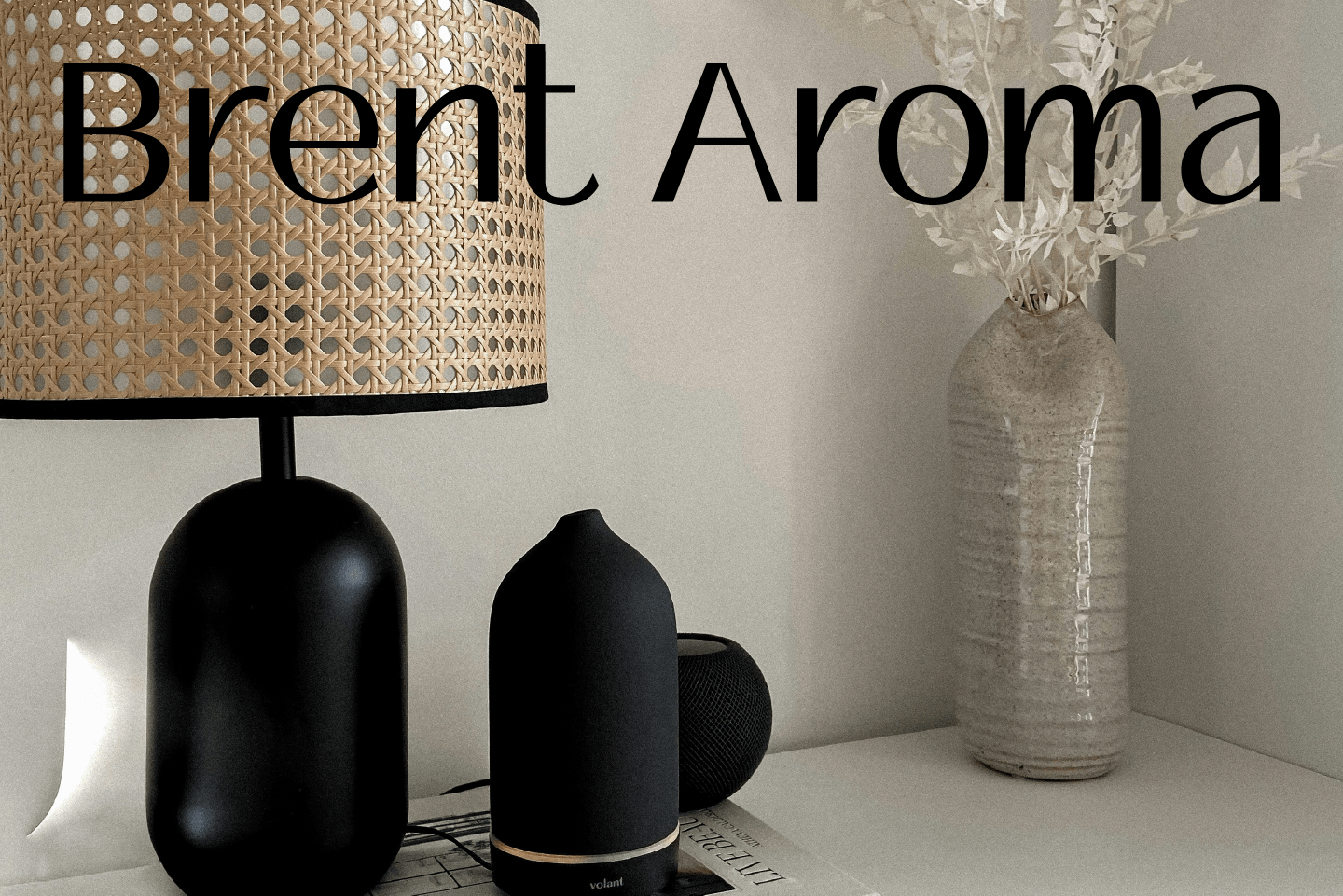 BRENT AROMA / фирменный стиль — Изображение №1 — Брендинг на Dprofile