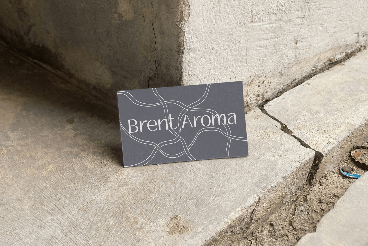BRENT AROMA / фирменный стиль — Изображение №7 — Брендинг на Dprofile