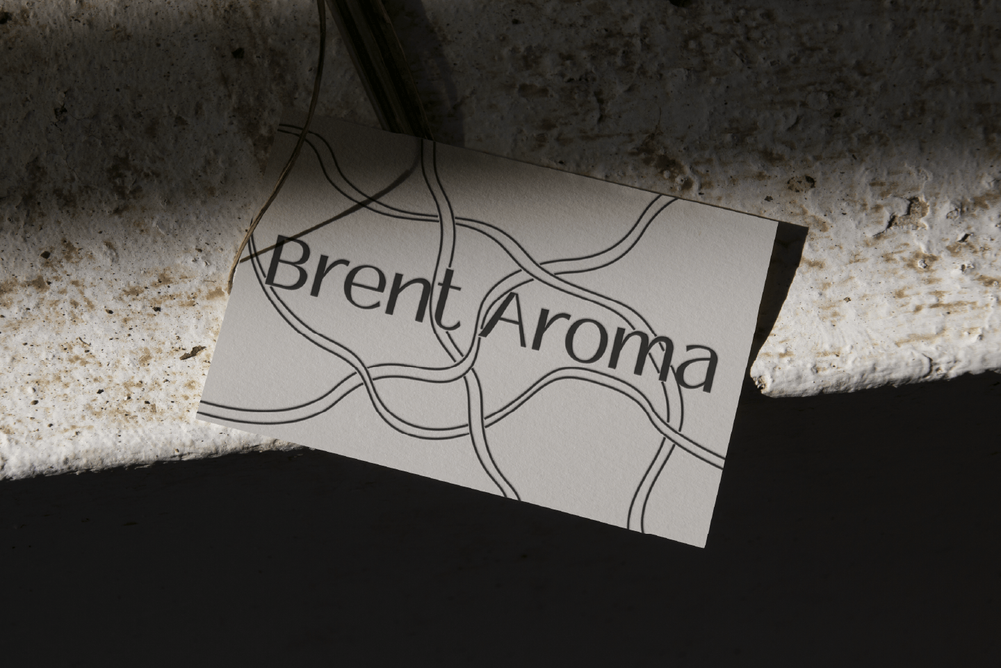 BRENT AROMA / фирменный стиль — Изображение №10 — Брендинг на Dprofile