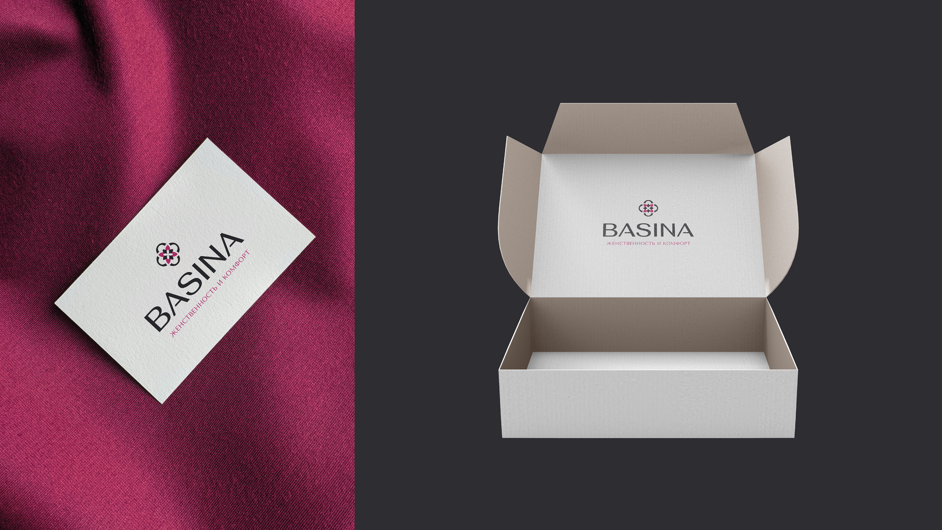 Логотип для бренда женской одежды / BASINA — Изображение №5 — Брендинг на Dprofile