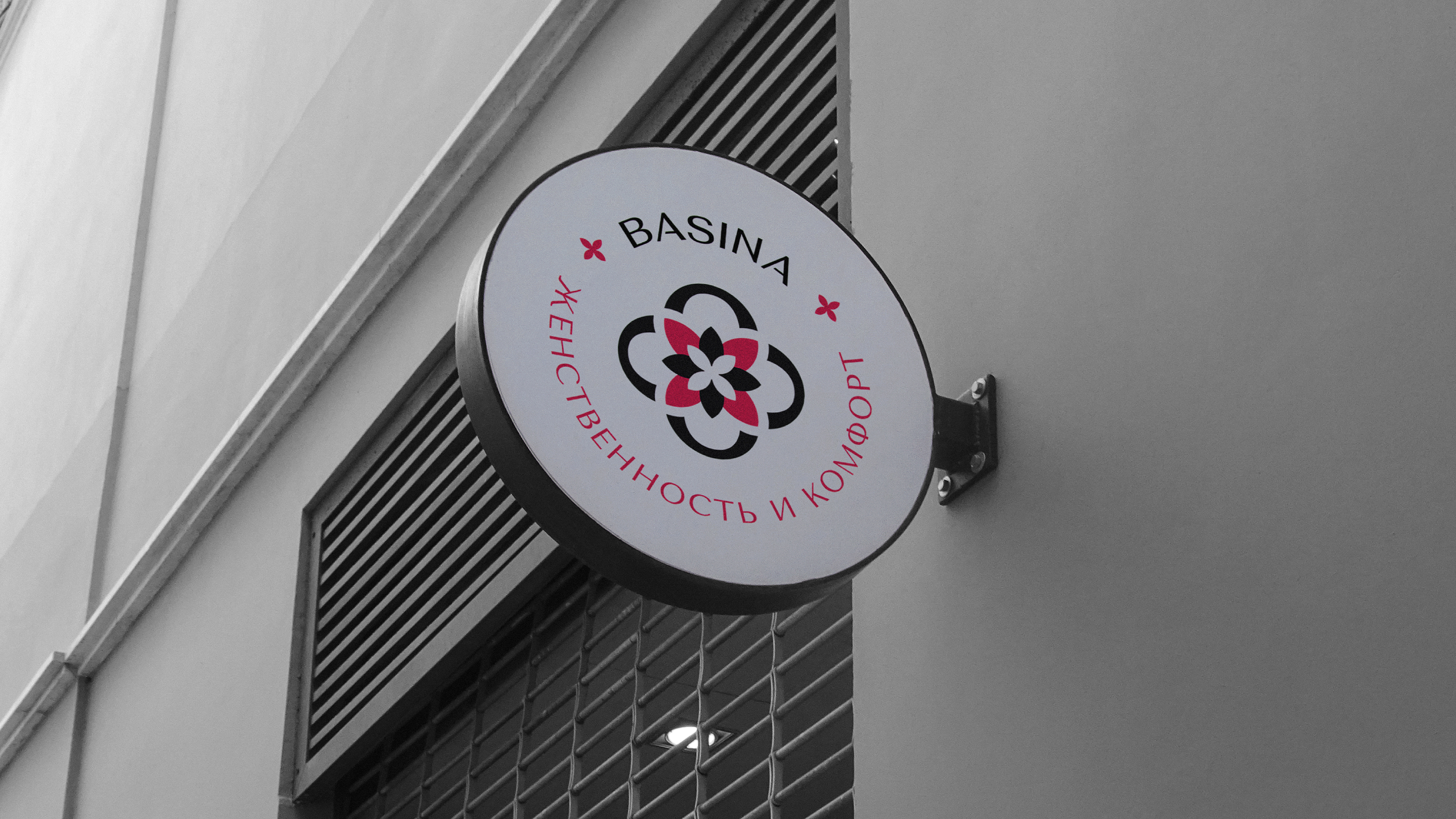 Логотип для бренда женской одежды / BASINA — Изображение №12 — Брендинг на Dprofile