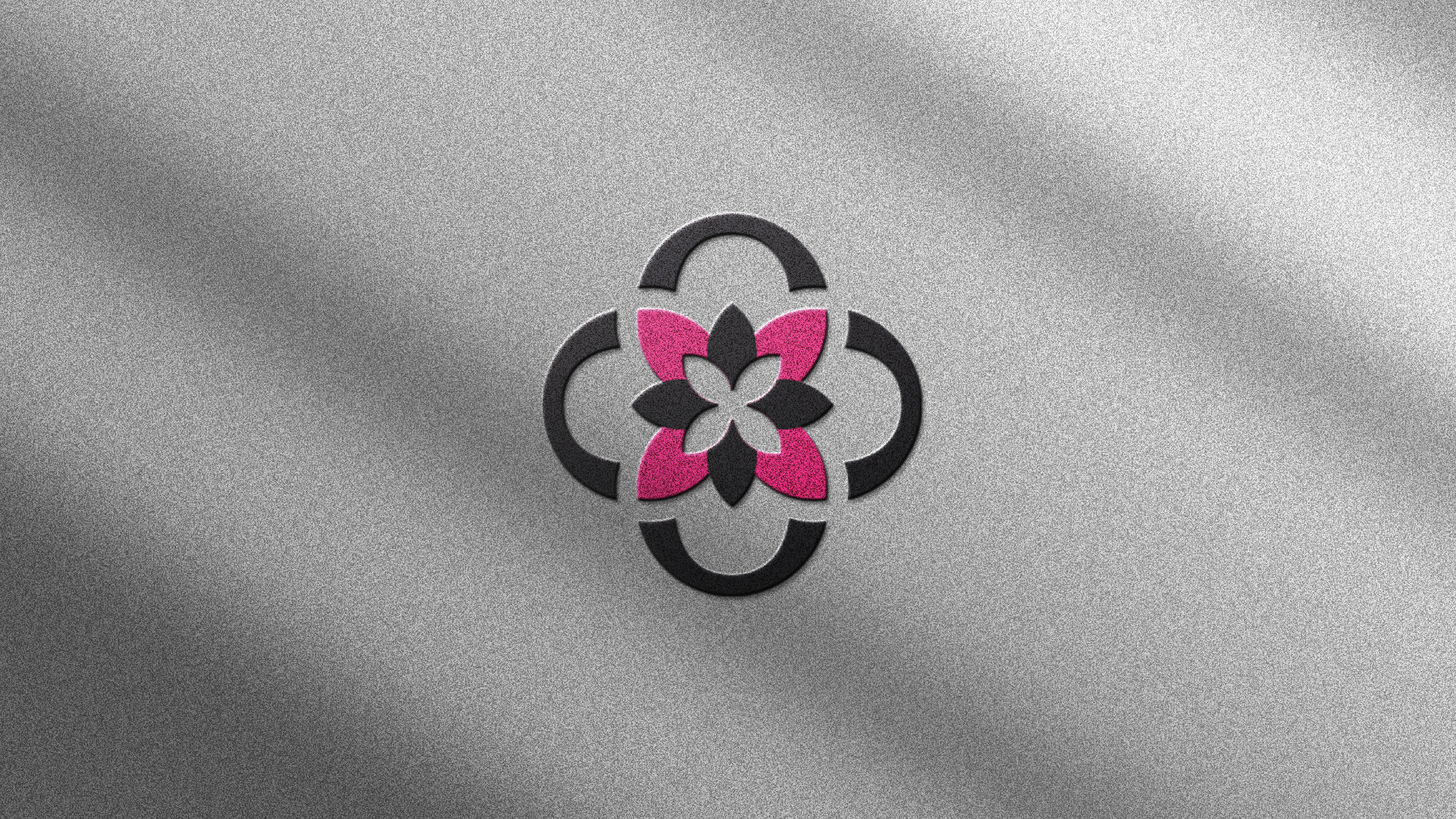 Логотип для бренда женской одежды / BASINA — Изображение №3 — Брендинг на Dprofile