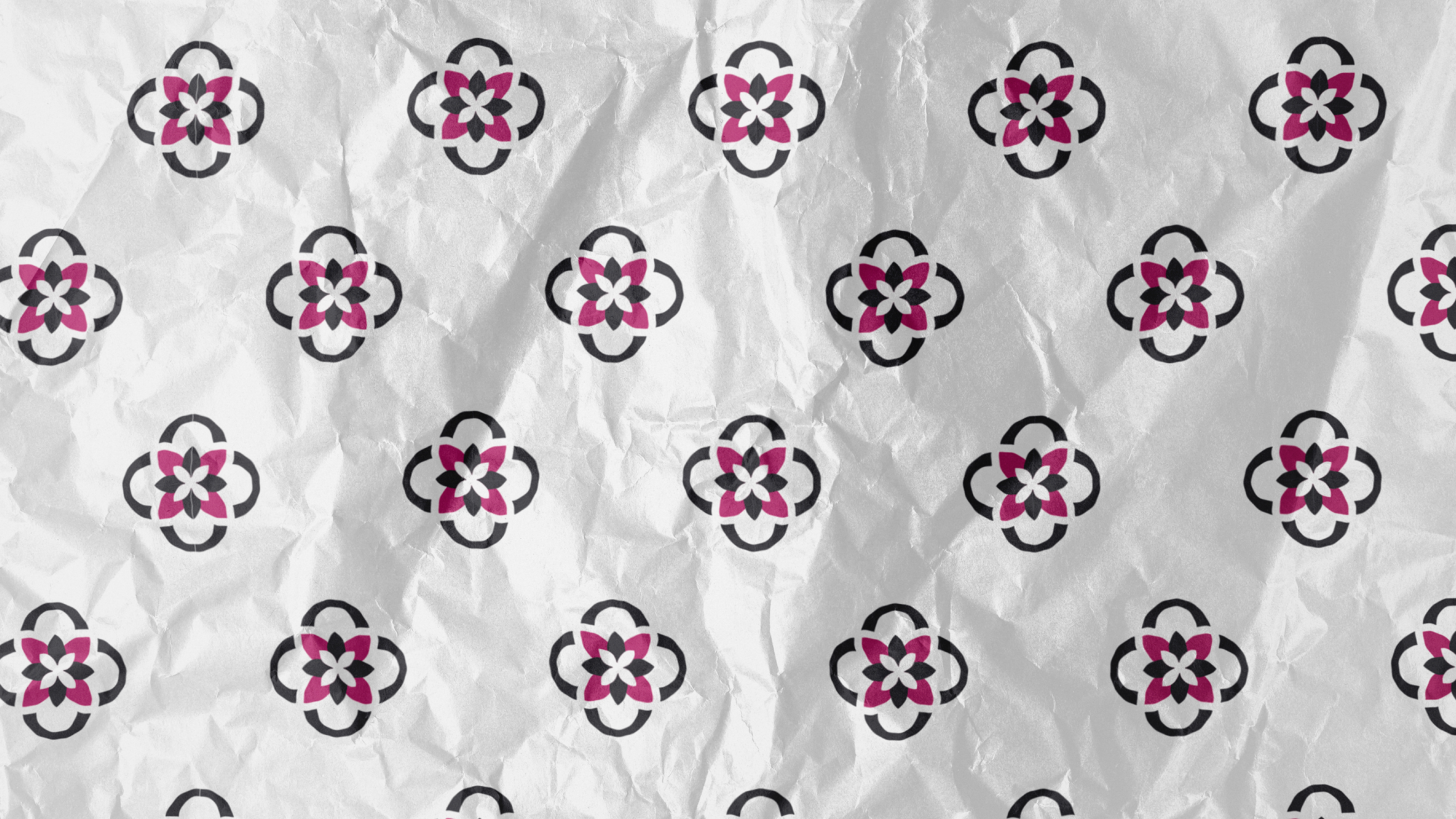 Логотип для бренда женской одежды / BASINA — Изображение №8 — Брендинг на Dprofile