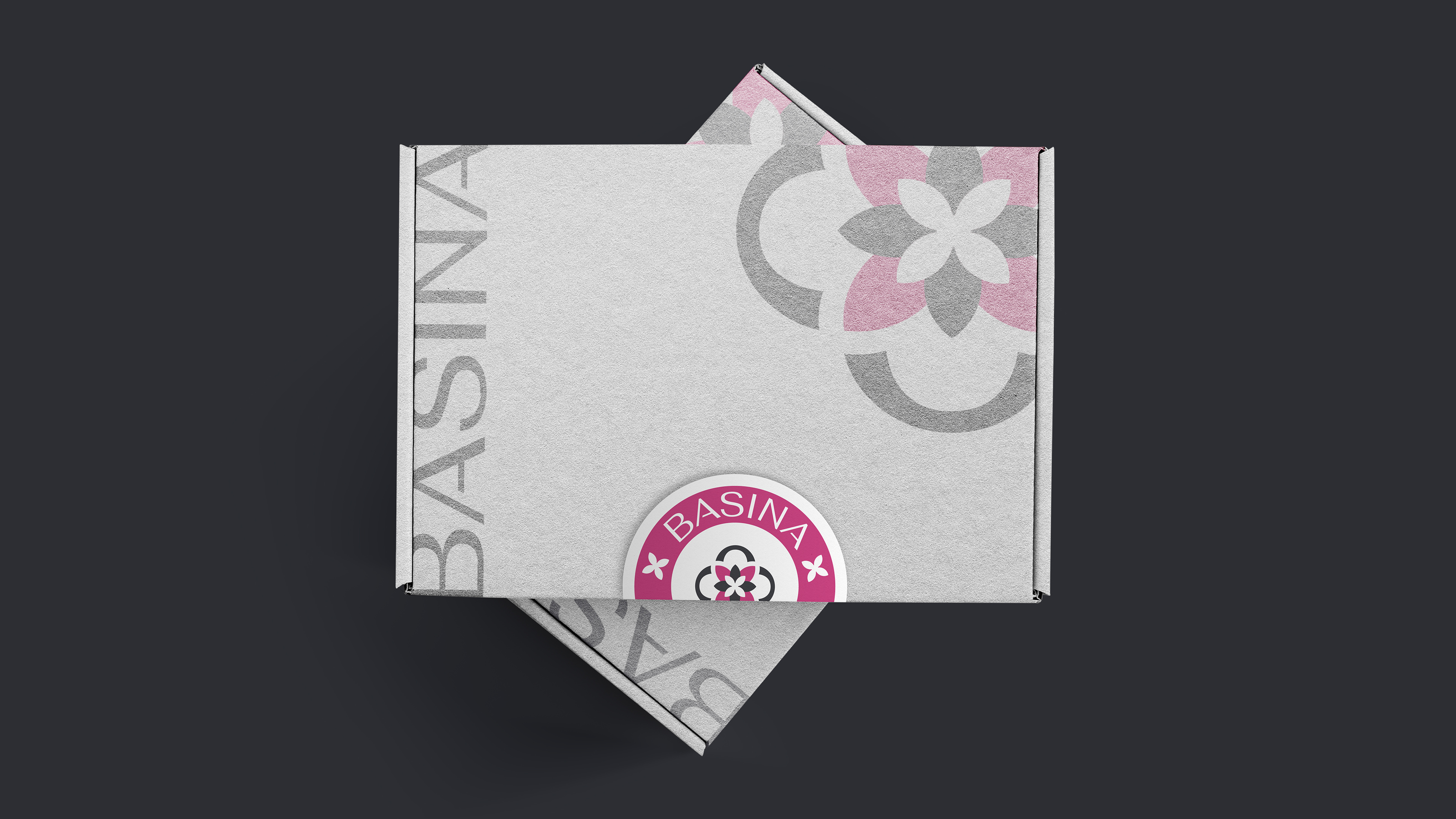 Логотип для бренда женской одежды / BASINA — Изображение №7 — Брендинг на Dprofile