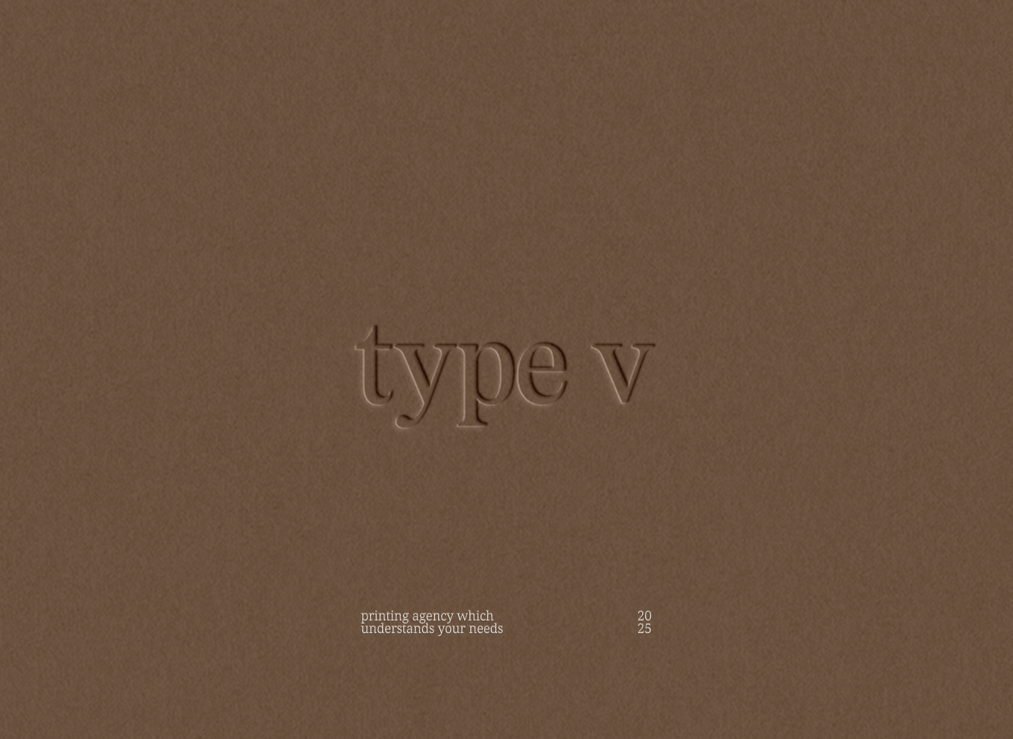 TYPE V / ФИРМЕННЫЙ СТИЛЬ — Изображение №1 — Брендинг, Графика на Dprofile