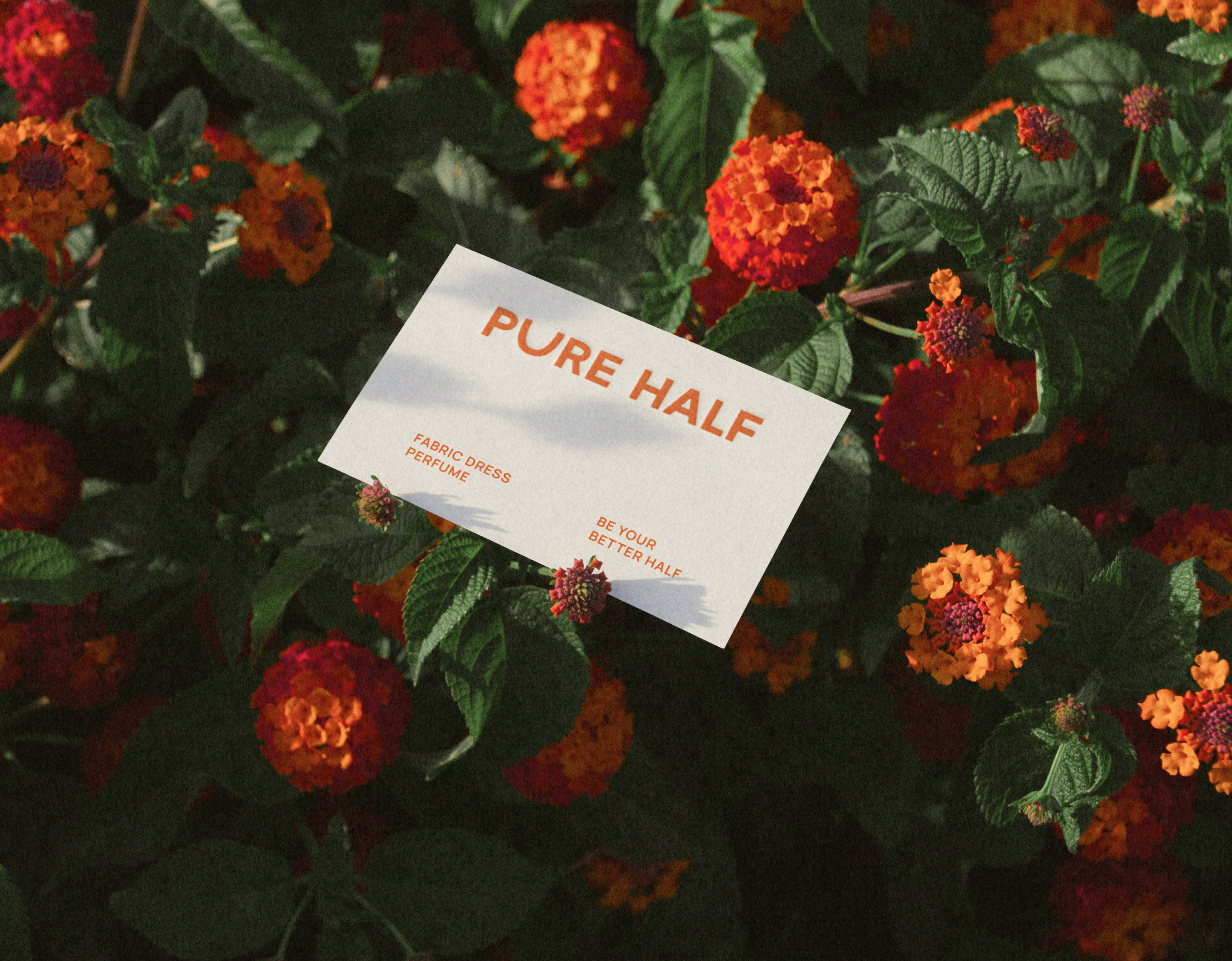 PERFUME BRAND IDENTITY / ФИРМЕННЫЙ СТИЛЬ / КОСМЕТИКА — Изображение №4 — Брендинг, Графика на Dprofile