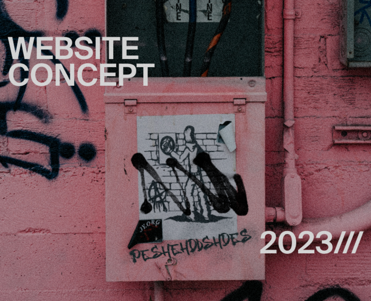 peshehodshoes website concept/// — Интерфейсы, Брендинг на Dprofile