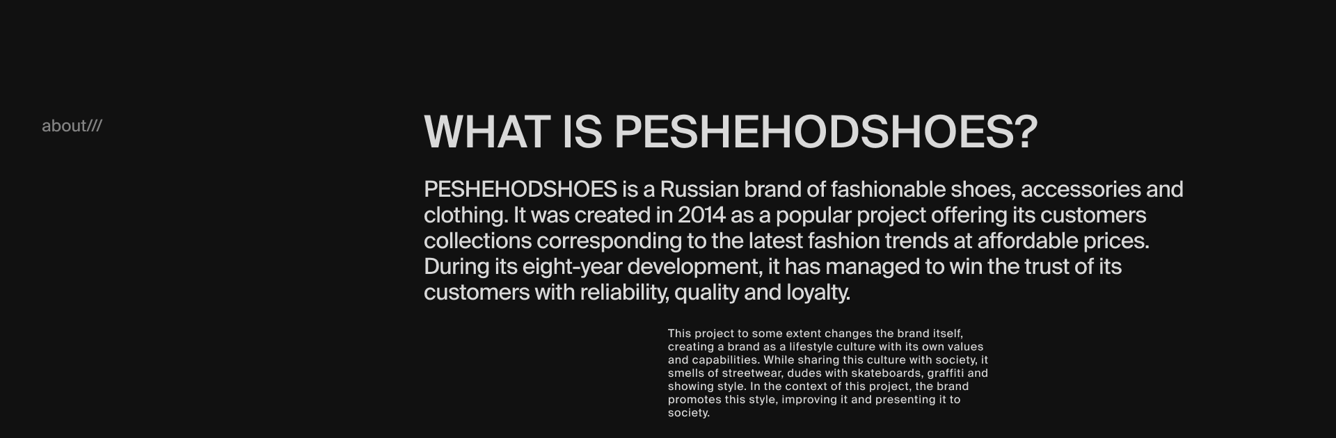 peshehodshoes website concept/// — Изображение №2 — Брендинг, Интерфейсы на Dprofile