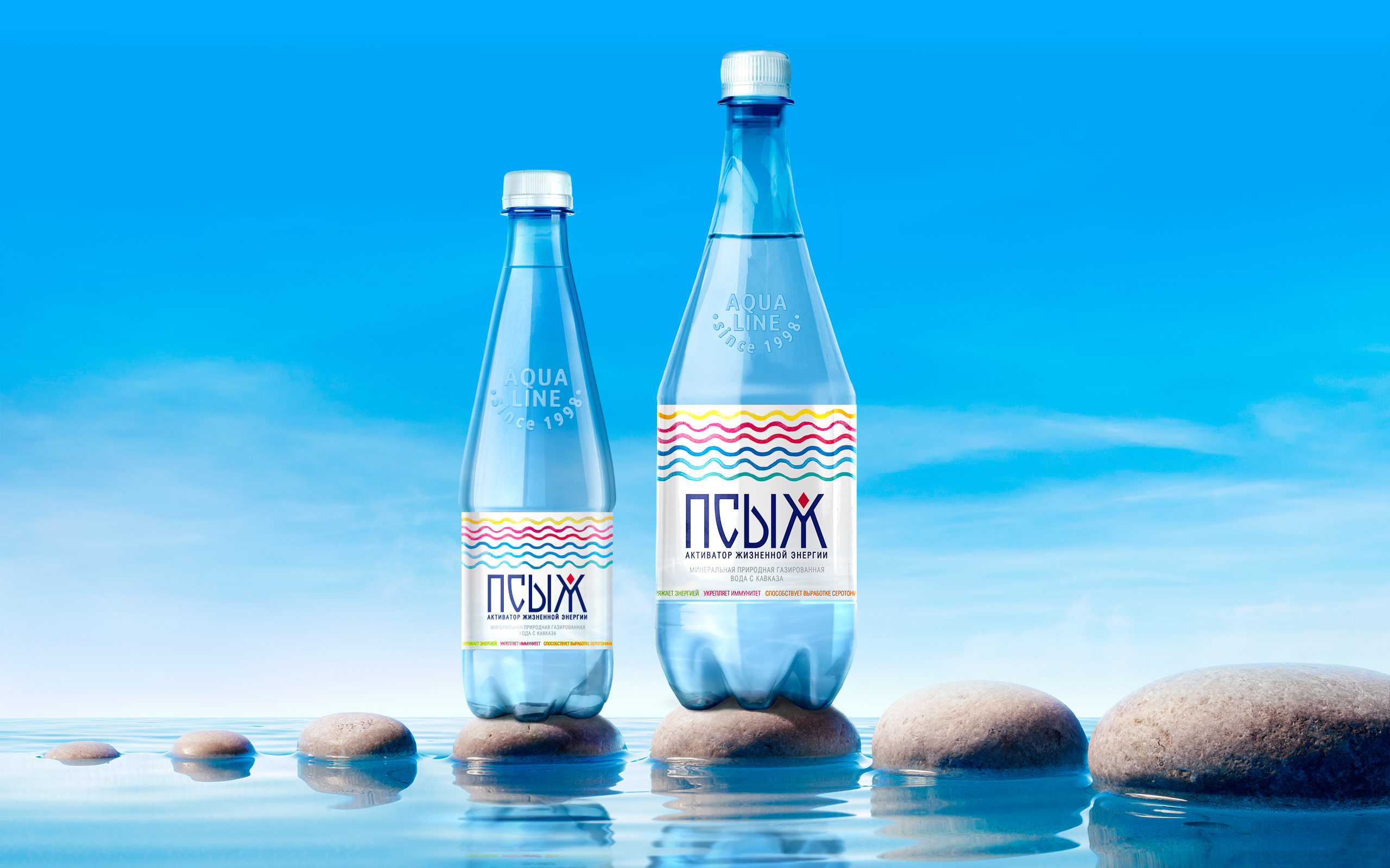 ПСЫЖ - бренд лечебно-столовой воды — Изображение №2 — Брендинг на Dprofile