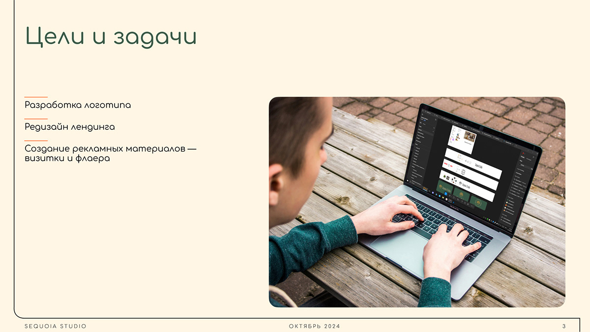 Брендинг|Логотип|Лендинг — Изображение №3 — Брендинг на Dprofile