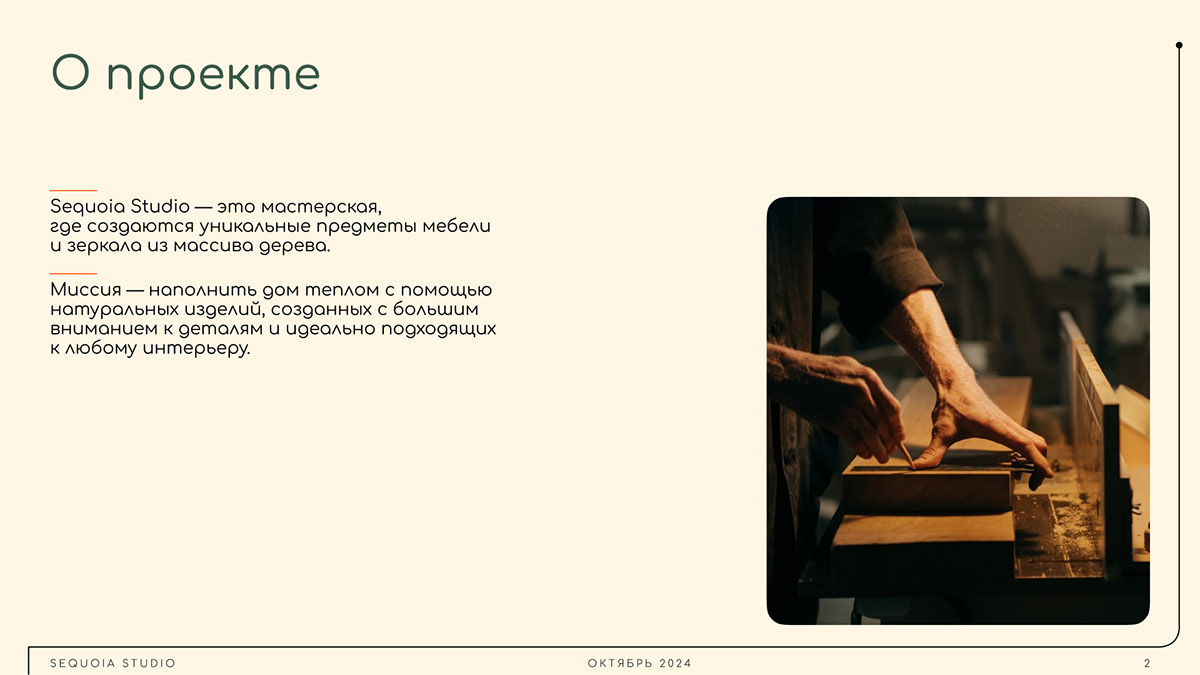 Брендинг|Логотип|Лендинг — Изображение №2 — Брендинг на Dprofile