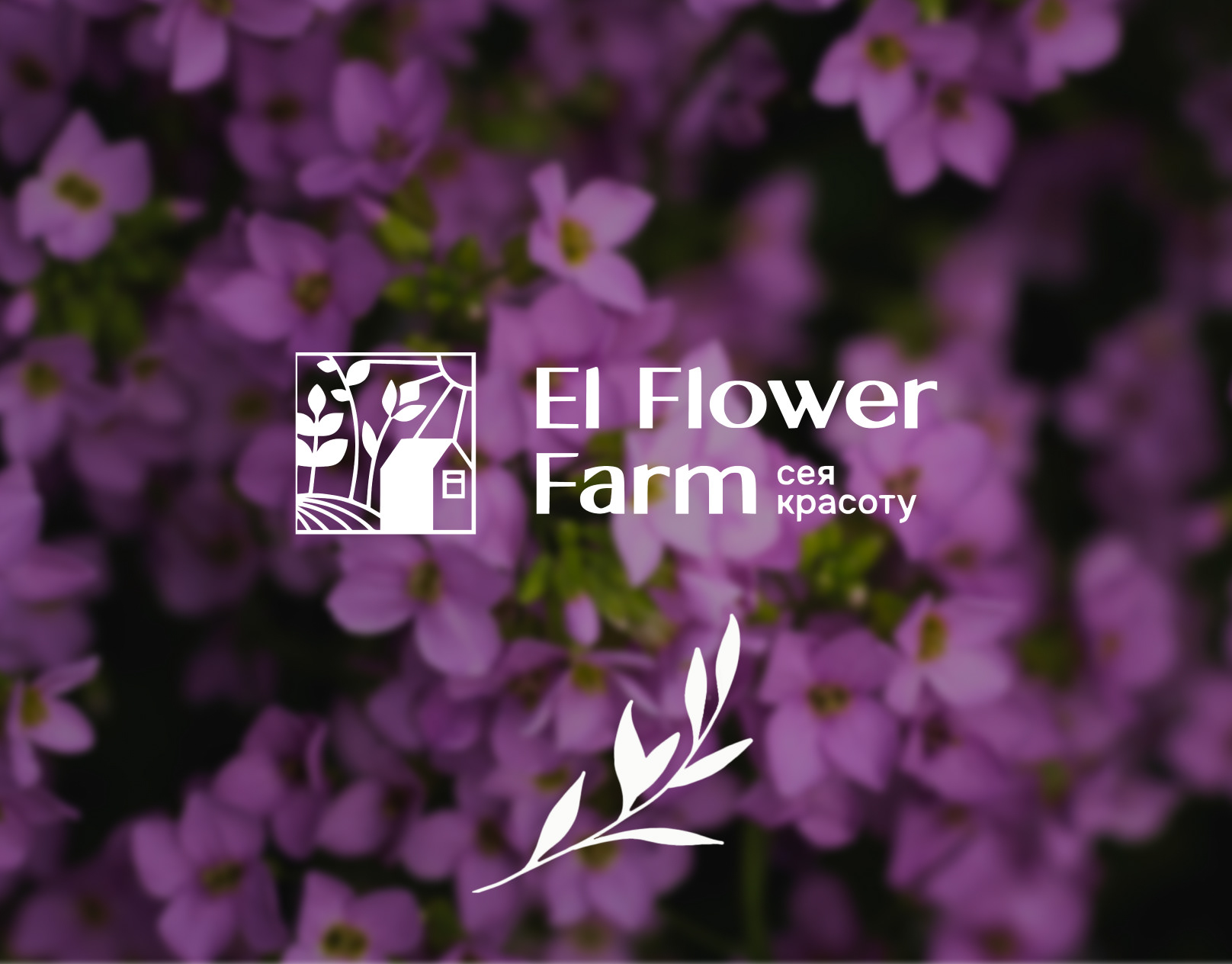 El Flower Farm баннер — Изображение №1 — Маркетинг на Dprofile