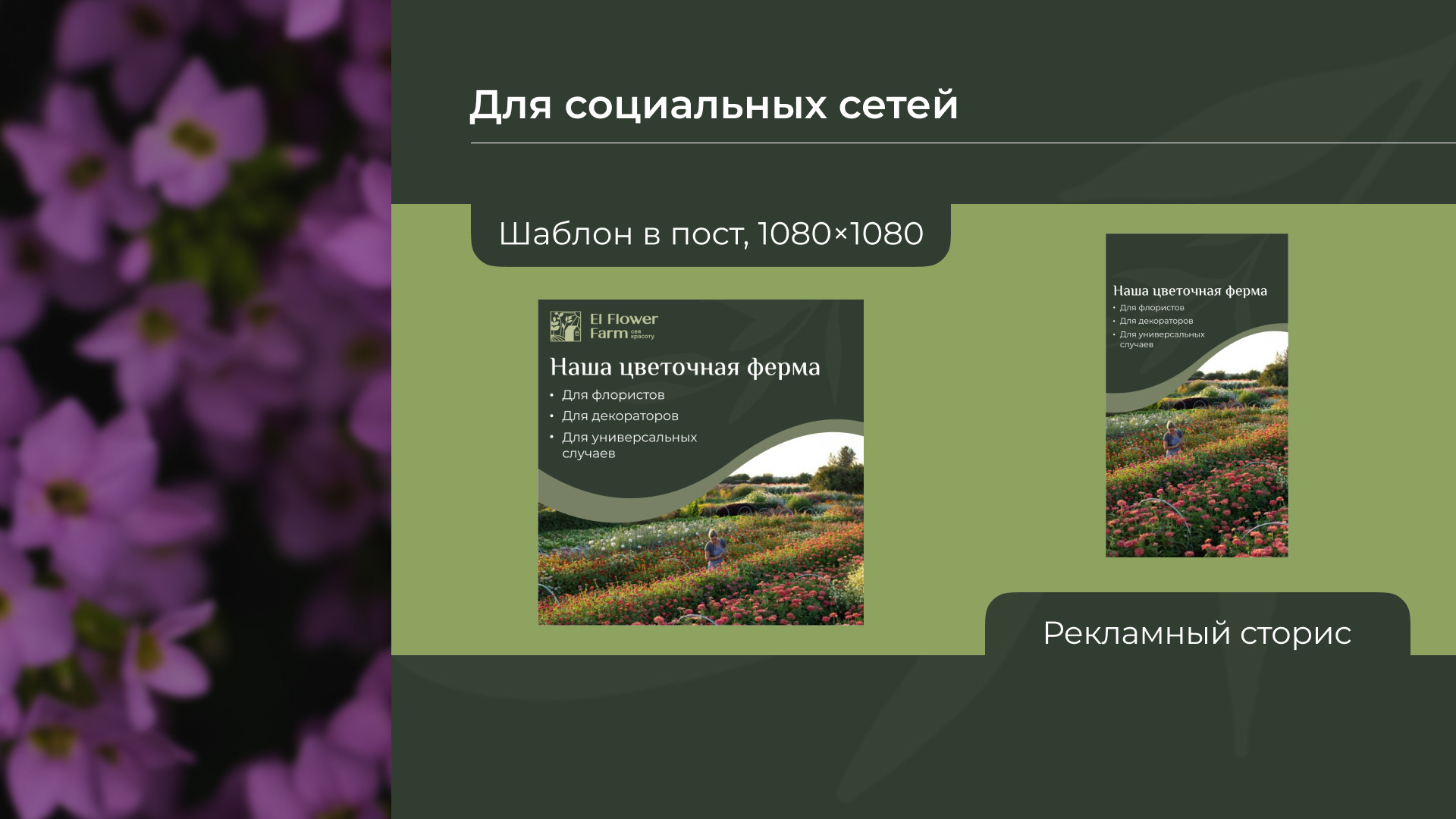 El Flower Farm баннер — Изображение №5 — Маркетинг на Dprofile