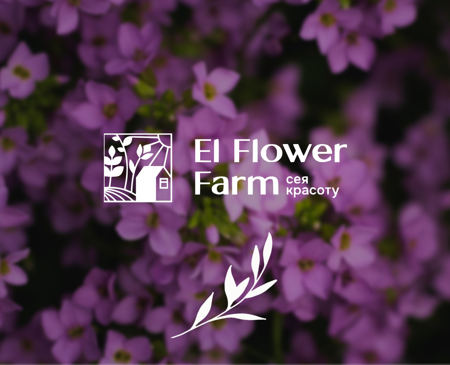 El Flower Farm баннер на Dprofile