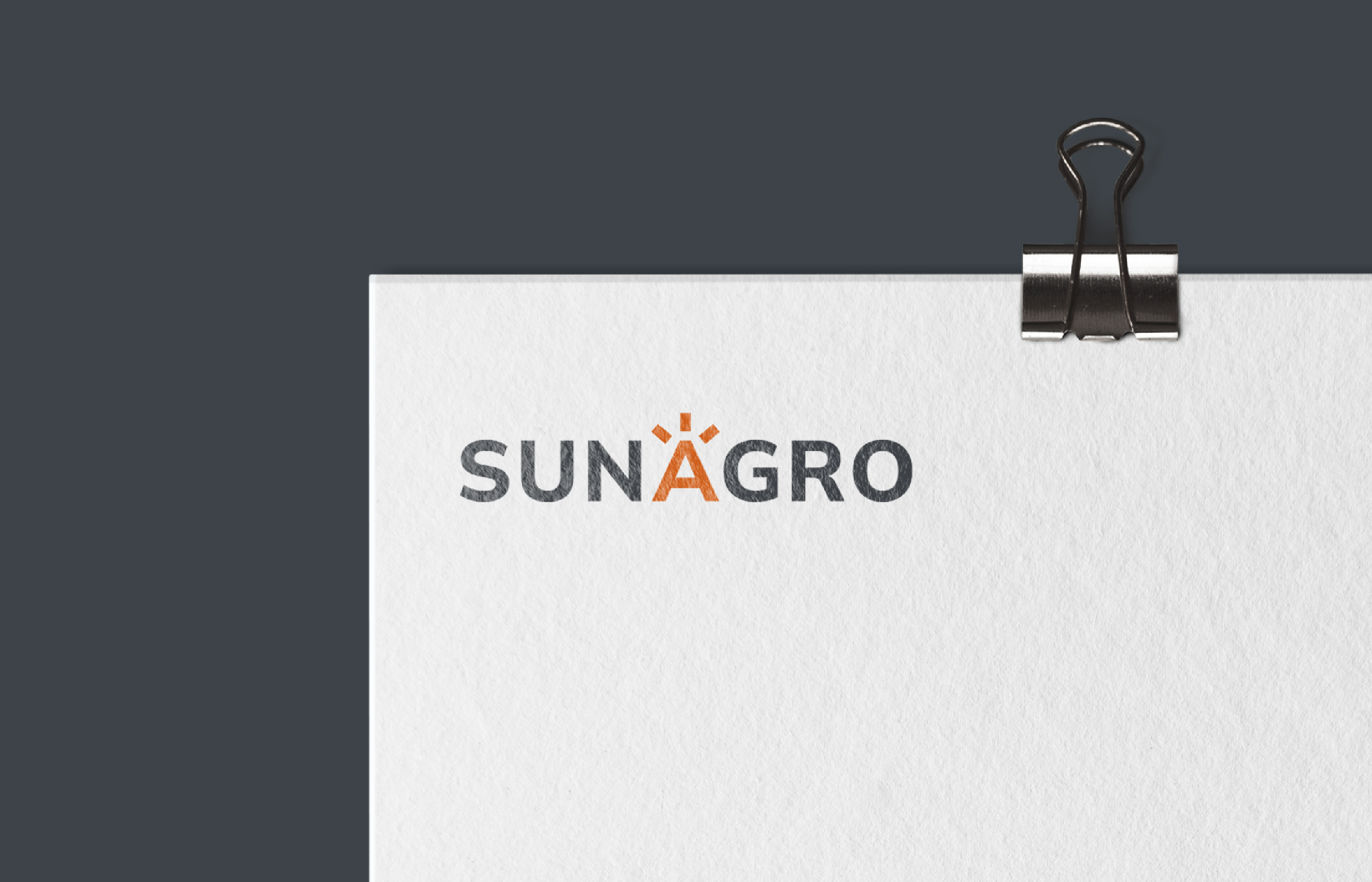 Агро компания Sunagro, фирменный стиль — Изображение №2 — Брендинг на Dprofile
