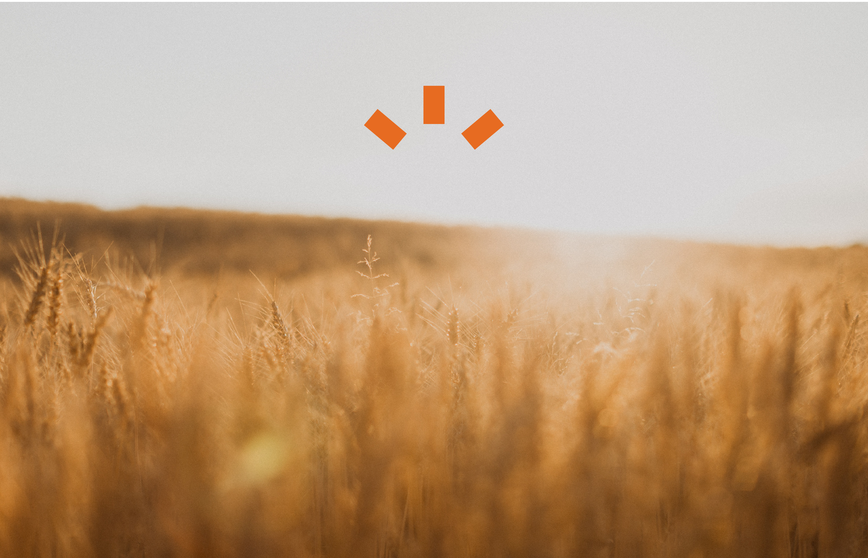 Агро компания Sunagro, фирменный стиль — Изображение №10 — Брендинг на Dprofile