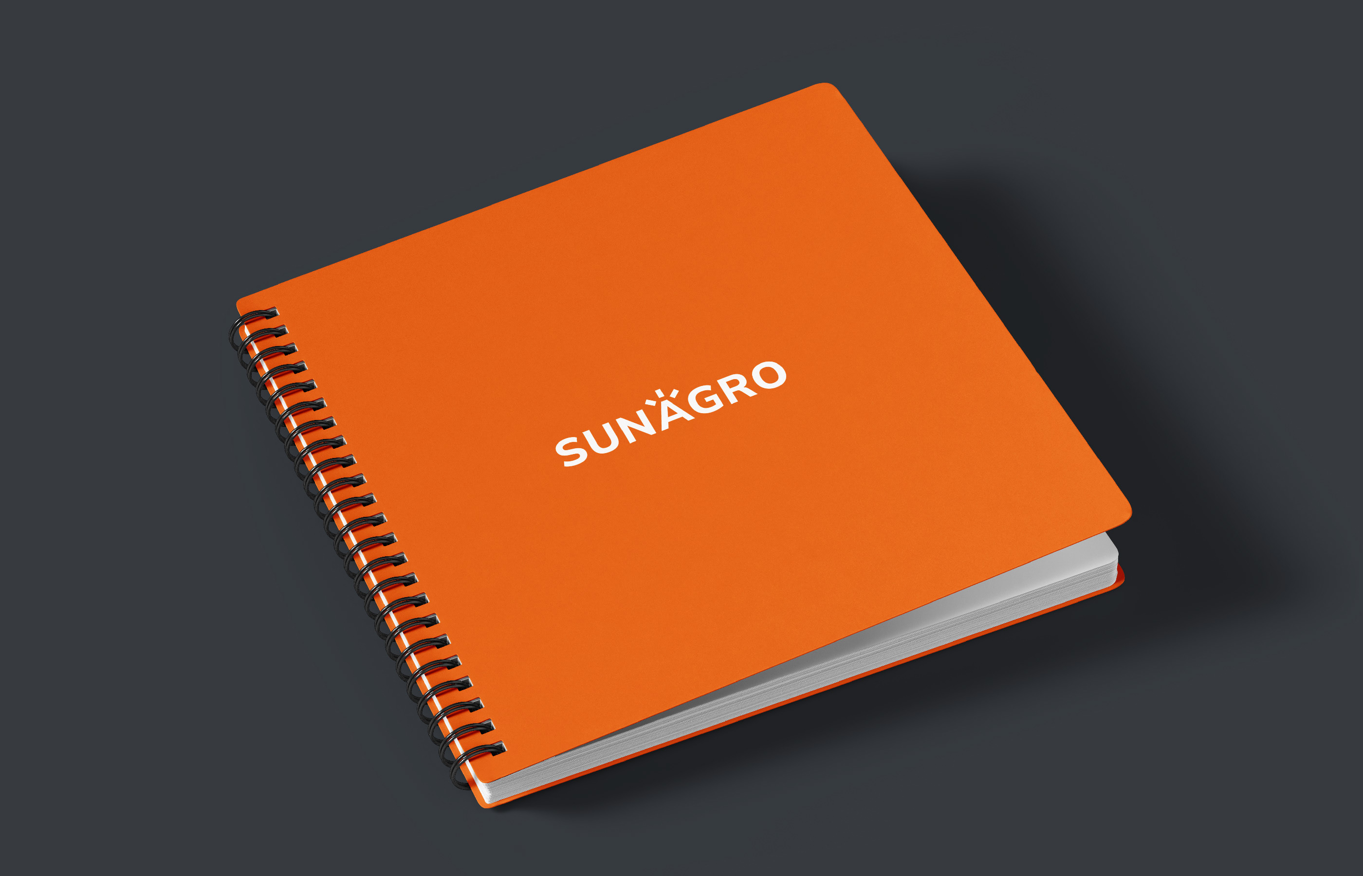 Агро компания Sunagro, фирменный стиль — Изображение №6 — Брендинг на Dprofile