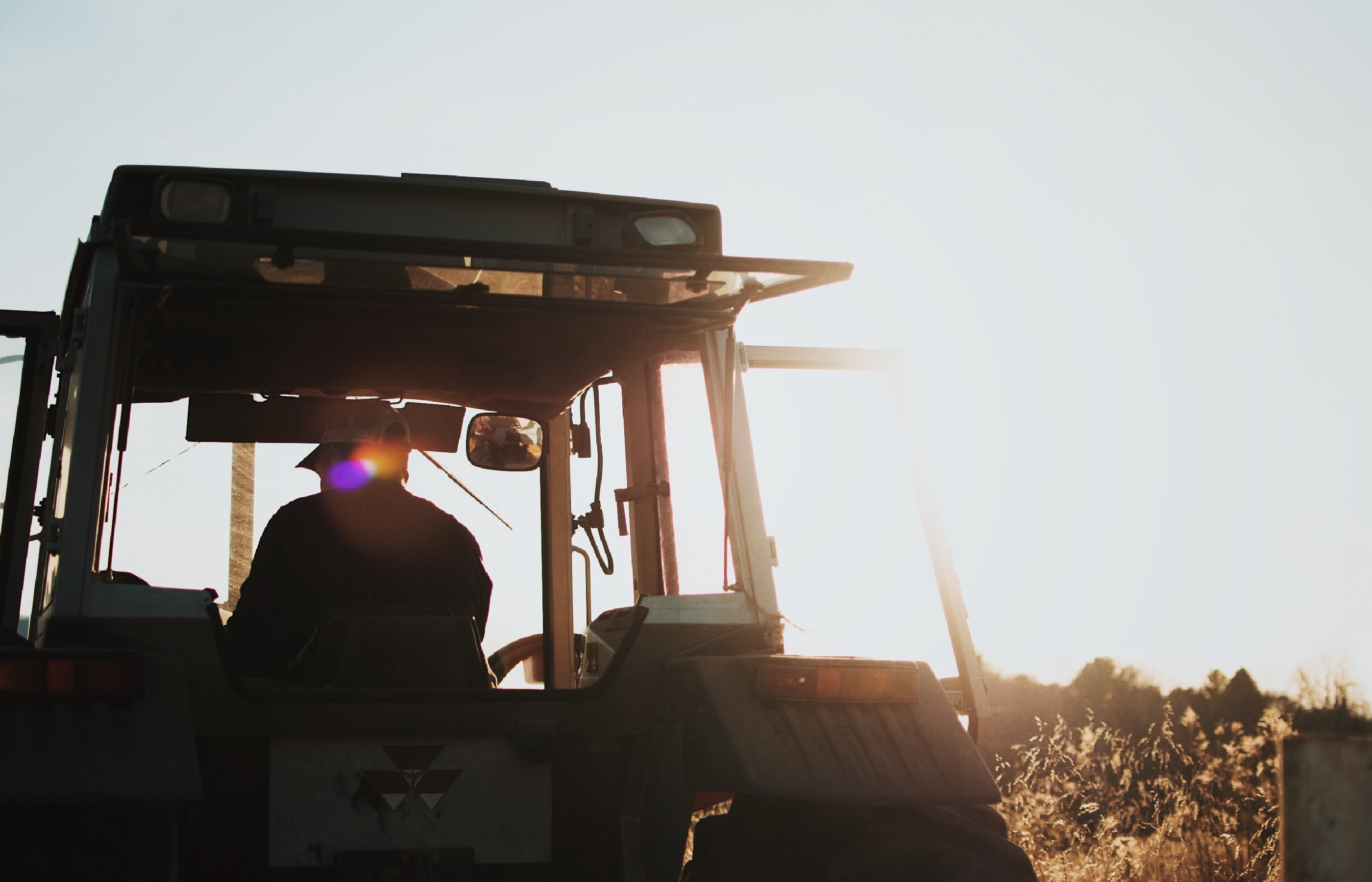 Агро компания Sunagro, фирменный стиль — Изображение №22 — Брендинг на Dprofile