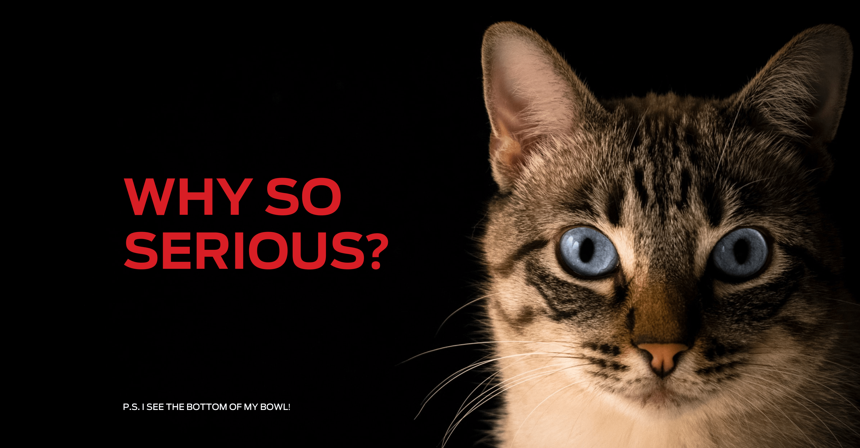 Purina Corporate website UX/UI redesign — Изображение №7 — Интерфейсы, Анимация на Dprofile