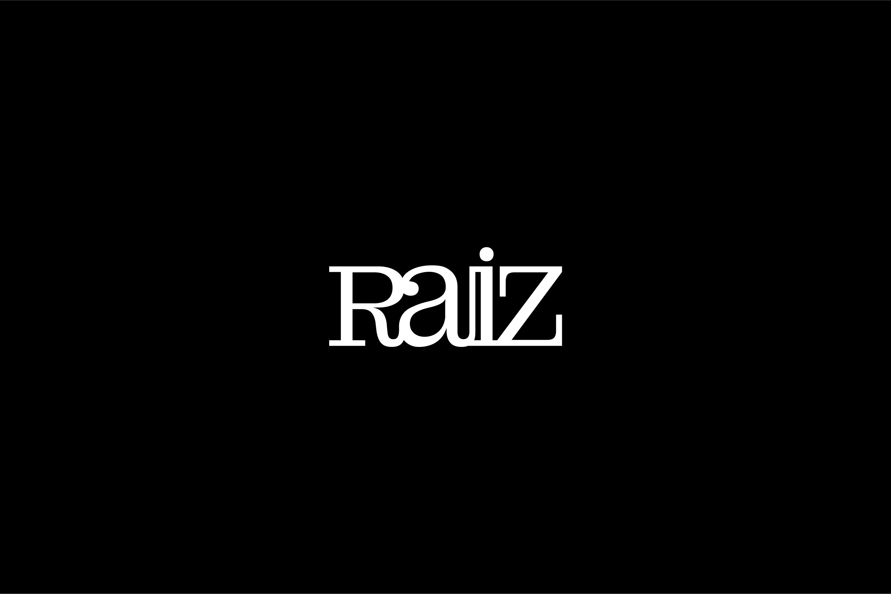 RAIZ — Изображение №1 — Брендинг, Графика на Dprofile