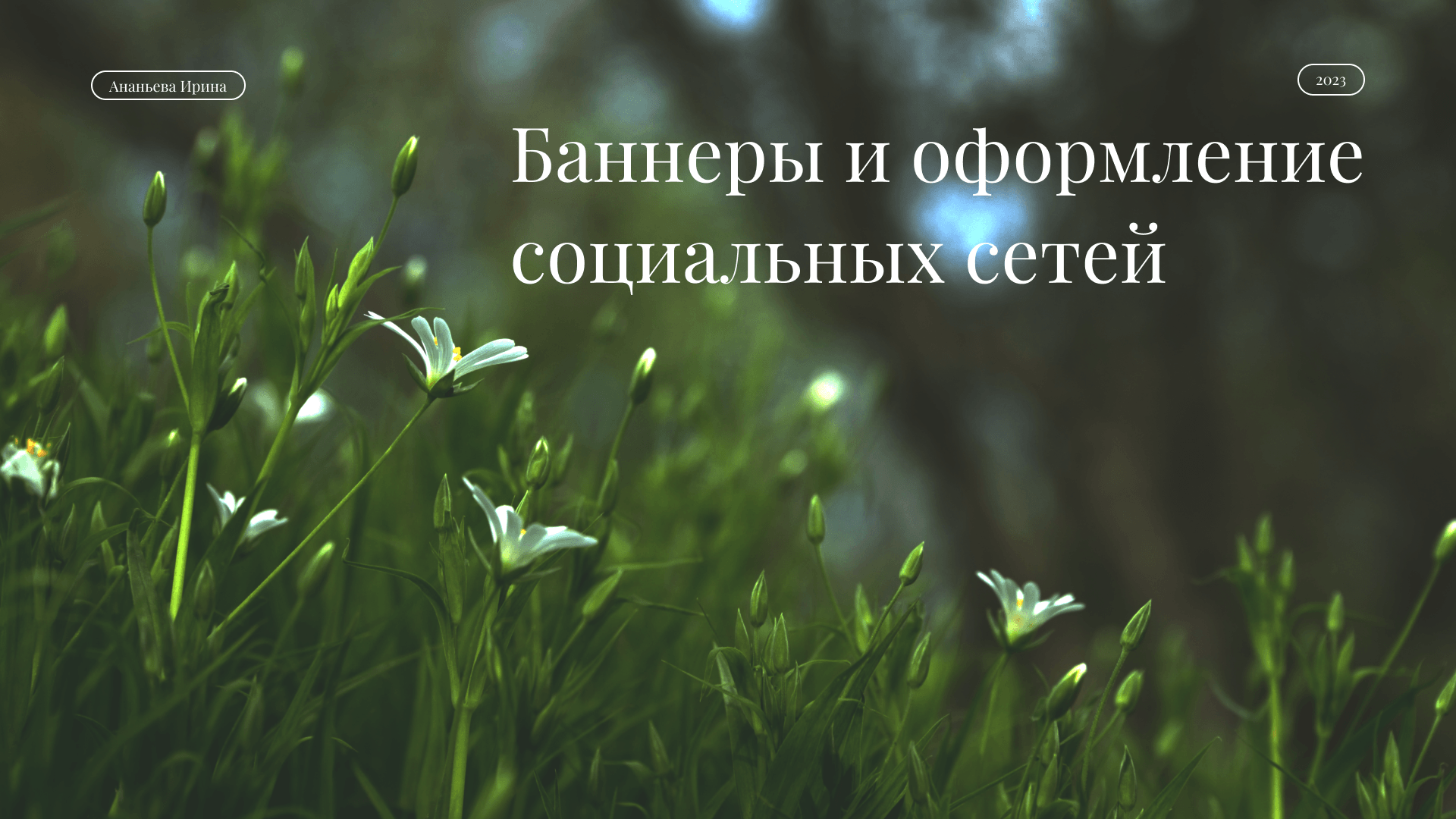 Banner for flower shop — Изображение №1 — Маркетинг на Dprofile