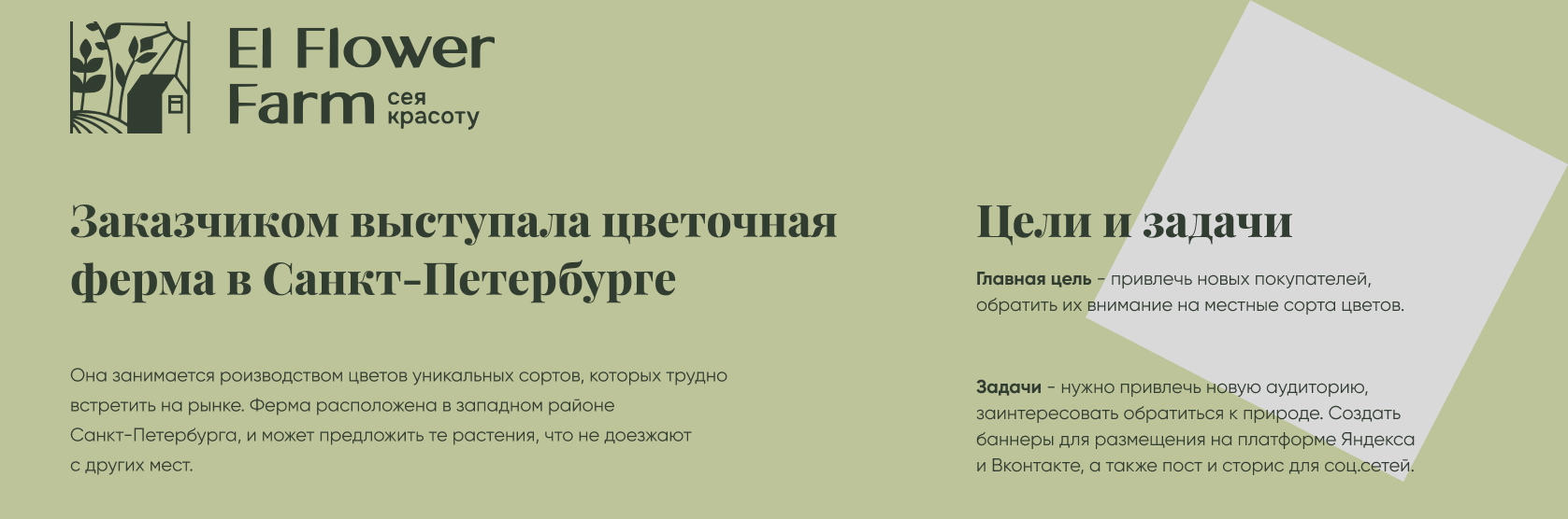 Banner for flower shop — Изображение №2 — Маркетинг на Dprofile