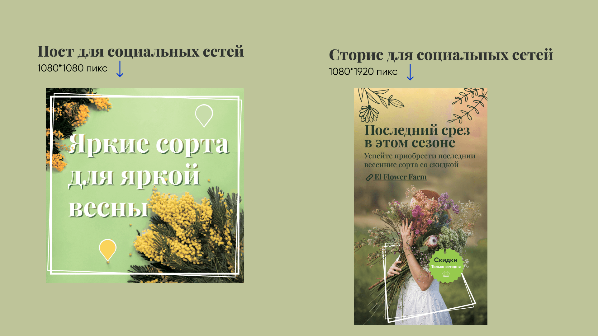Banner for flower shop — Изображение №6 — Маркетинг на Dprofile