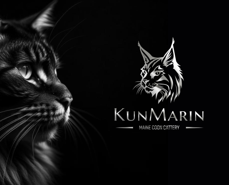 Логотип для питомника кошек — Брендинг, Графика на Dprofile