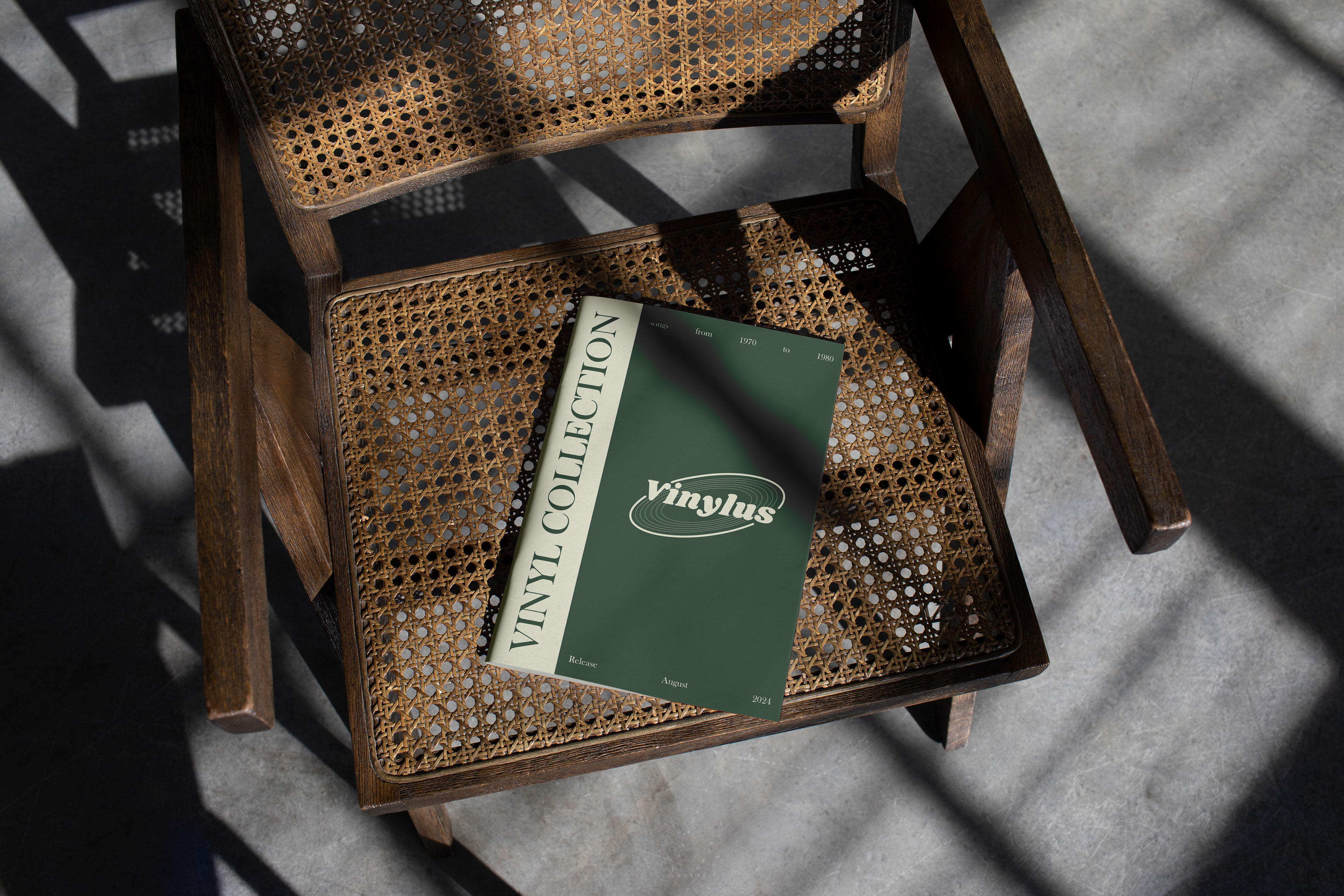 Vinylus - vinyl shop | visual identity | Branding — Изображение №11 — Брендинг на Dprofile