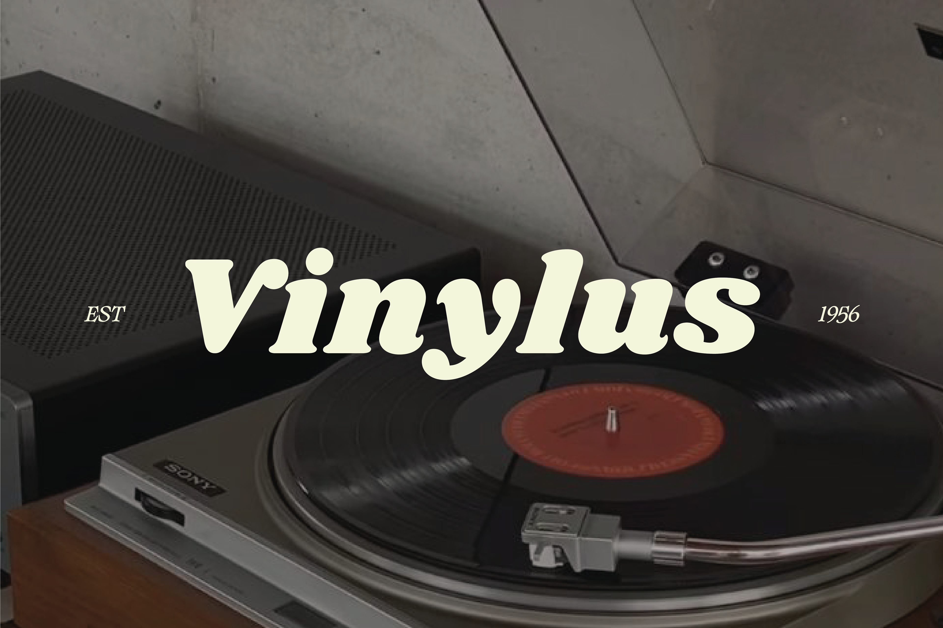 Vinylus - vinyl shop | visual identity | Branding — Изображение №1 — Брендинг на Dprofile