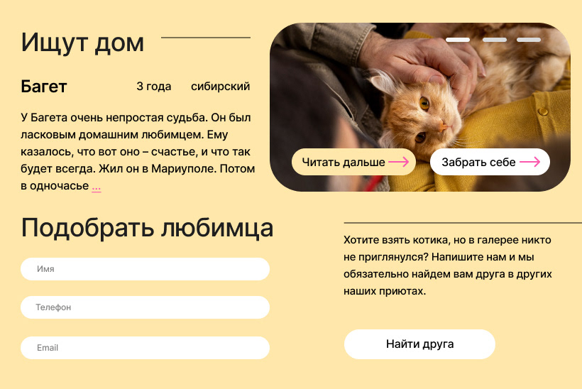 Animal shelter/Приют для котиков — Изображение №5 — Интерфейсы, Брендинг на Dprofile