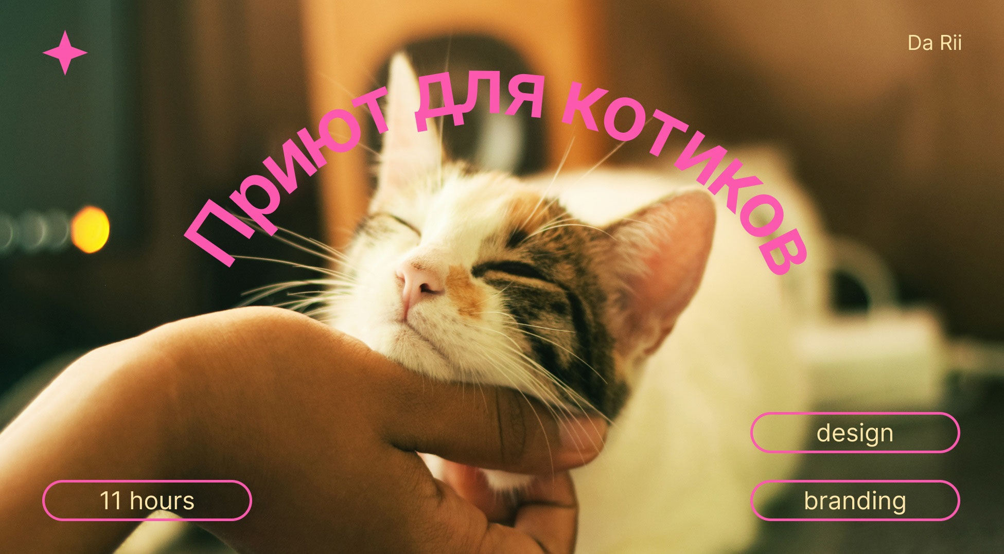 Animal shelter/Приют для котиков — Изображение №1 — Интерфейсы, Брендинг на Dprofile
