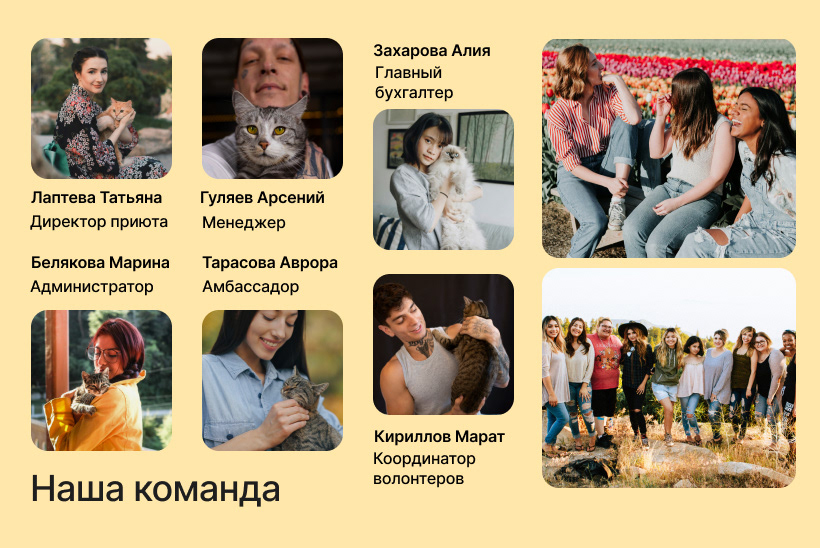 Animal shelter/Приют для котиков — Изображение №7 — Интерфейсы, Брендинг на Dprofile
