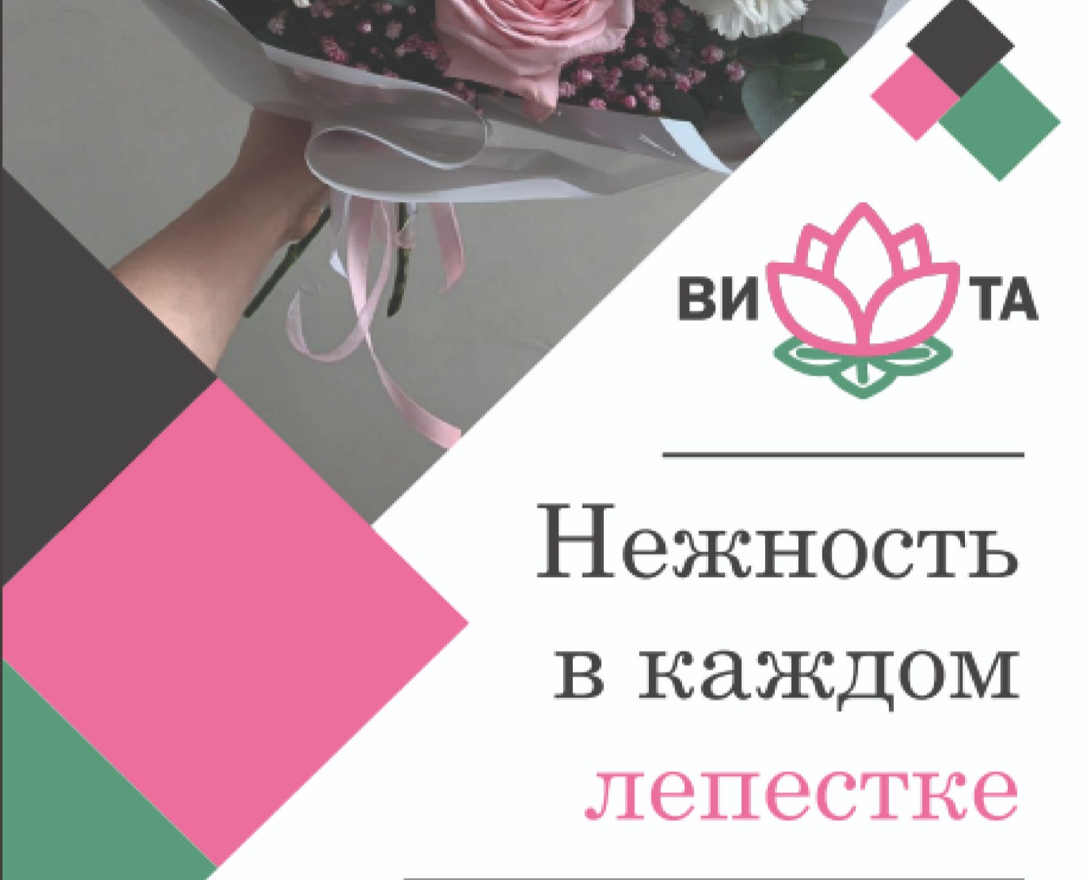 Ролл-ап — Иллюстрация, Маркетинг на Dprofile