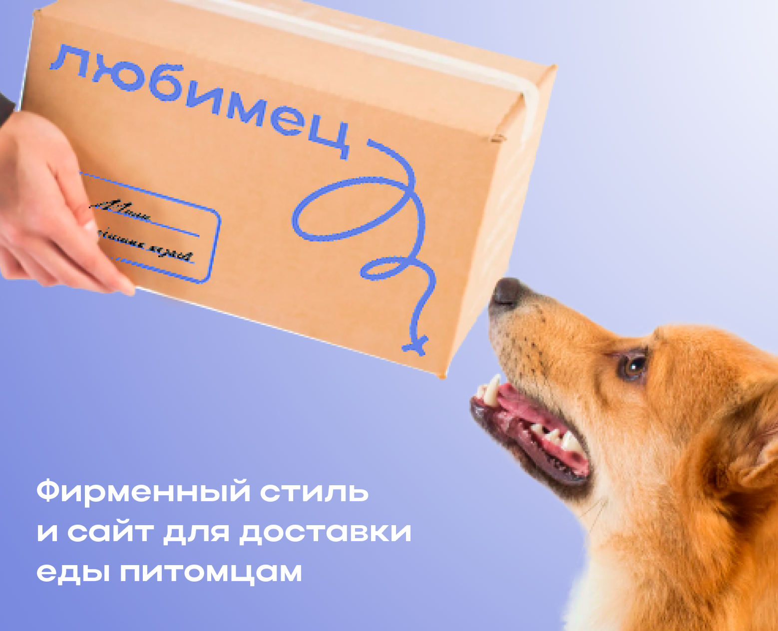 Фирменный стиль и сайт для доставки доставки еды питомцам на Dprofile