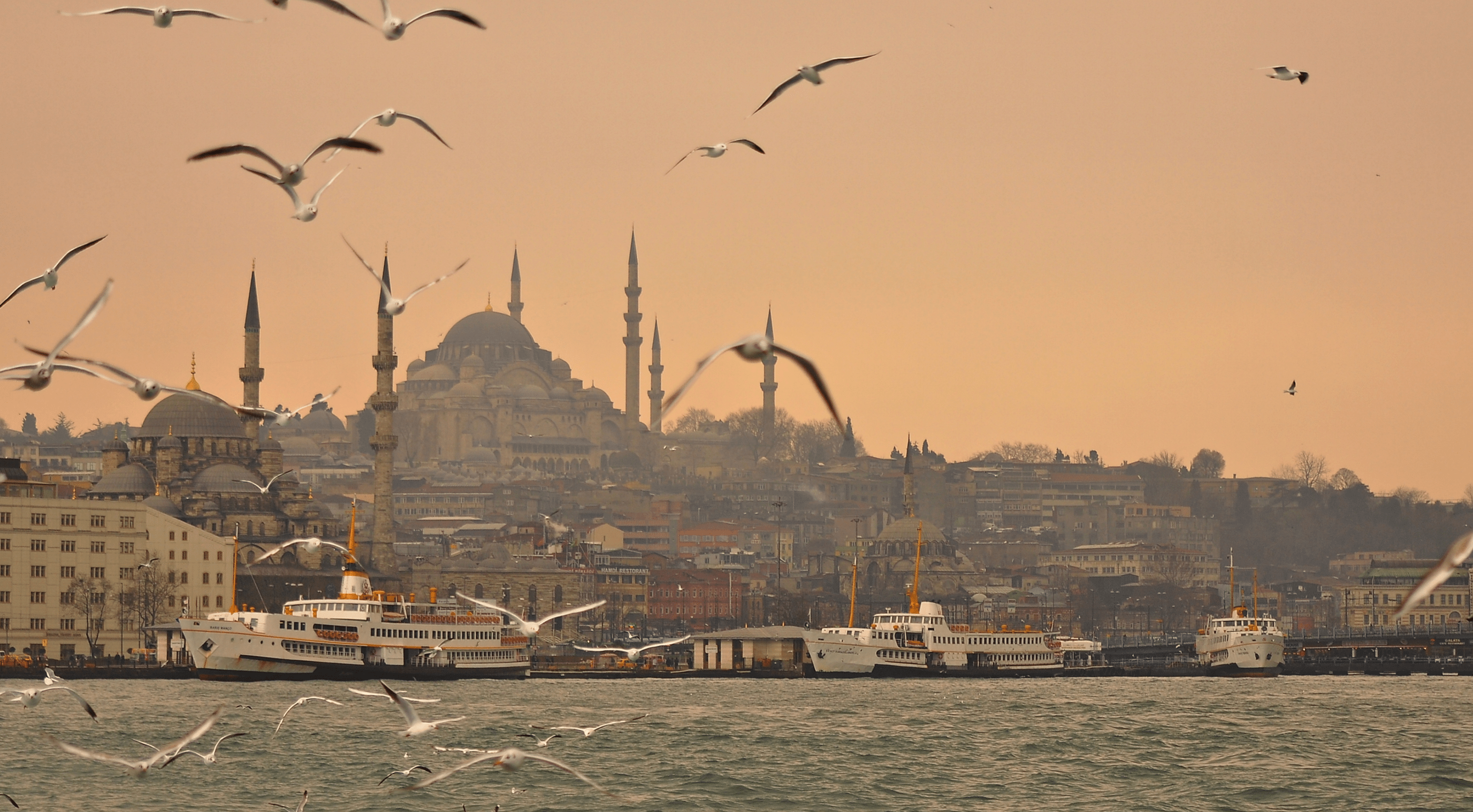 La Mer - website for apartments — Изображение №1 — Брендинг, Интерфейсы на Dprofile